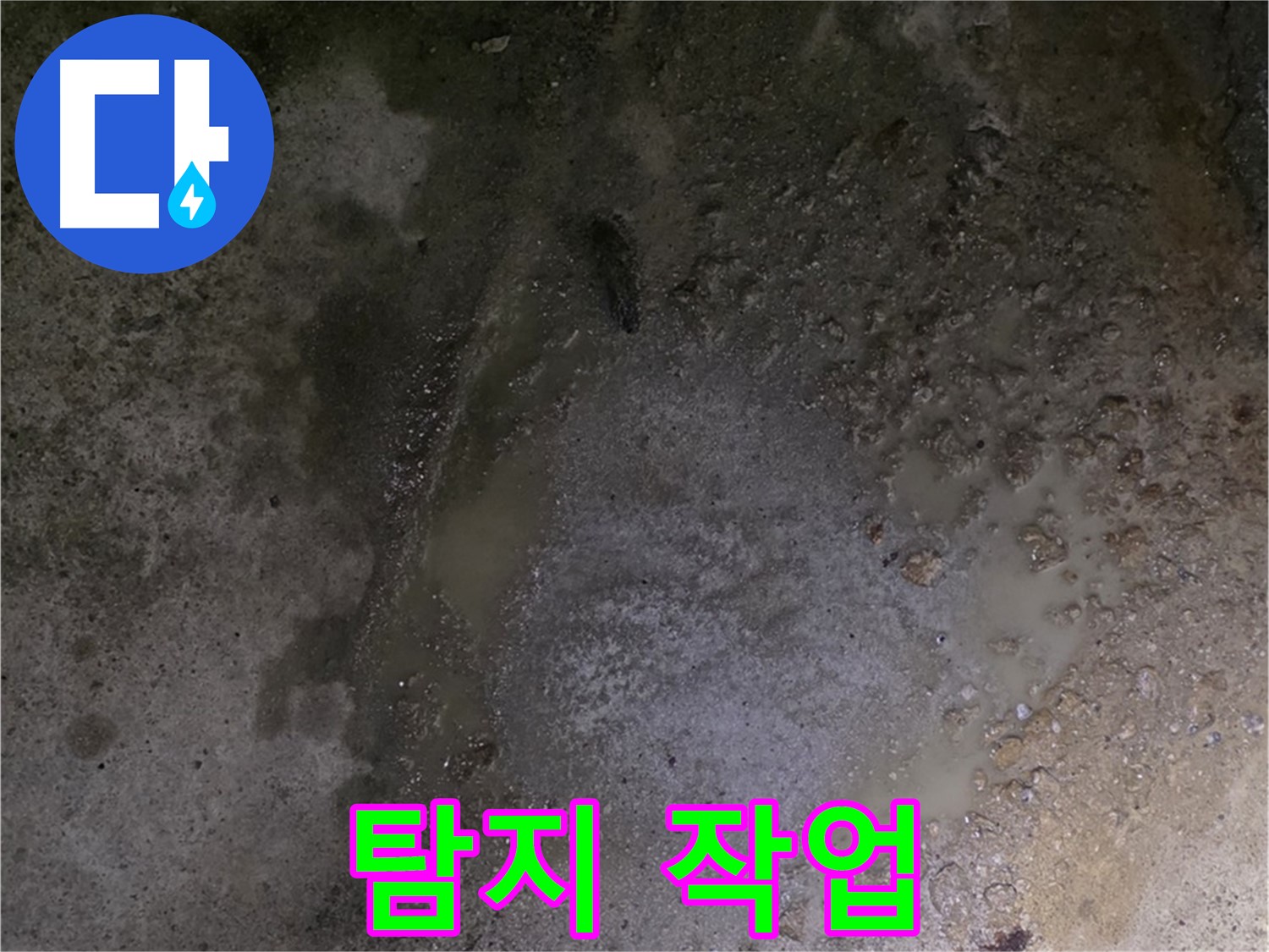 강원특별자치도 철원군 서면 와수리 누수 현장 - 첨단 장비를 사용하여 정확한 누수 지점을 찾기 위한 누수 탐지 작업을 진행하고 있습니다.