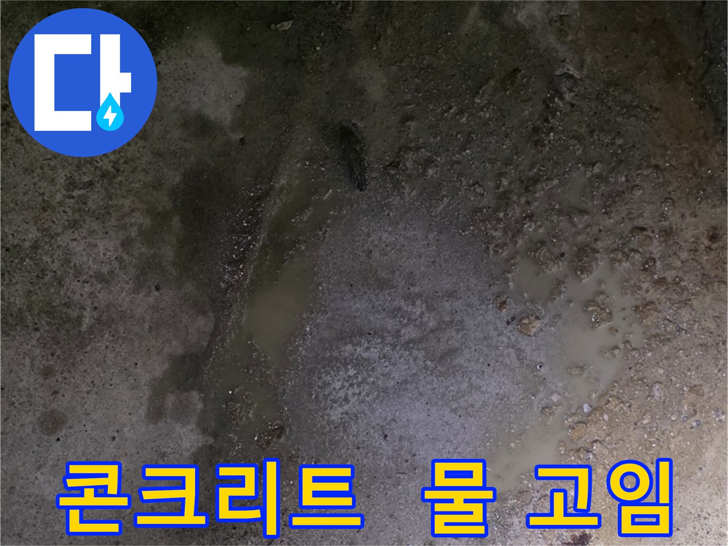 강원특별자치도 철원군 서면 와수리 누수 현장 - 콘크리트 바닥에 물이 고여 있는 것은 지속적인 누수를 의심해봐야 합니다.