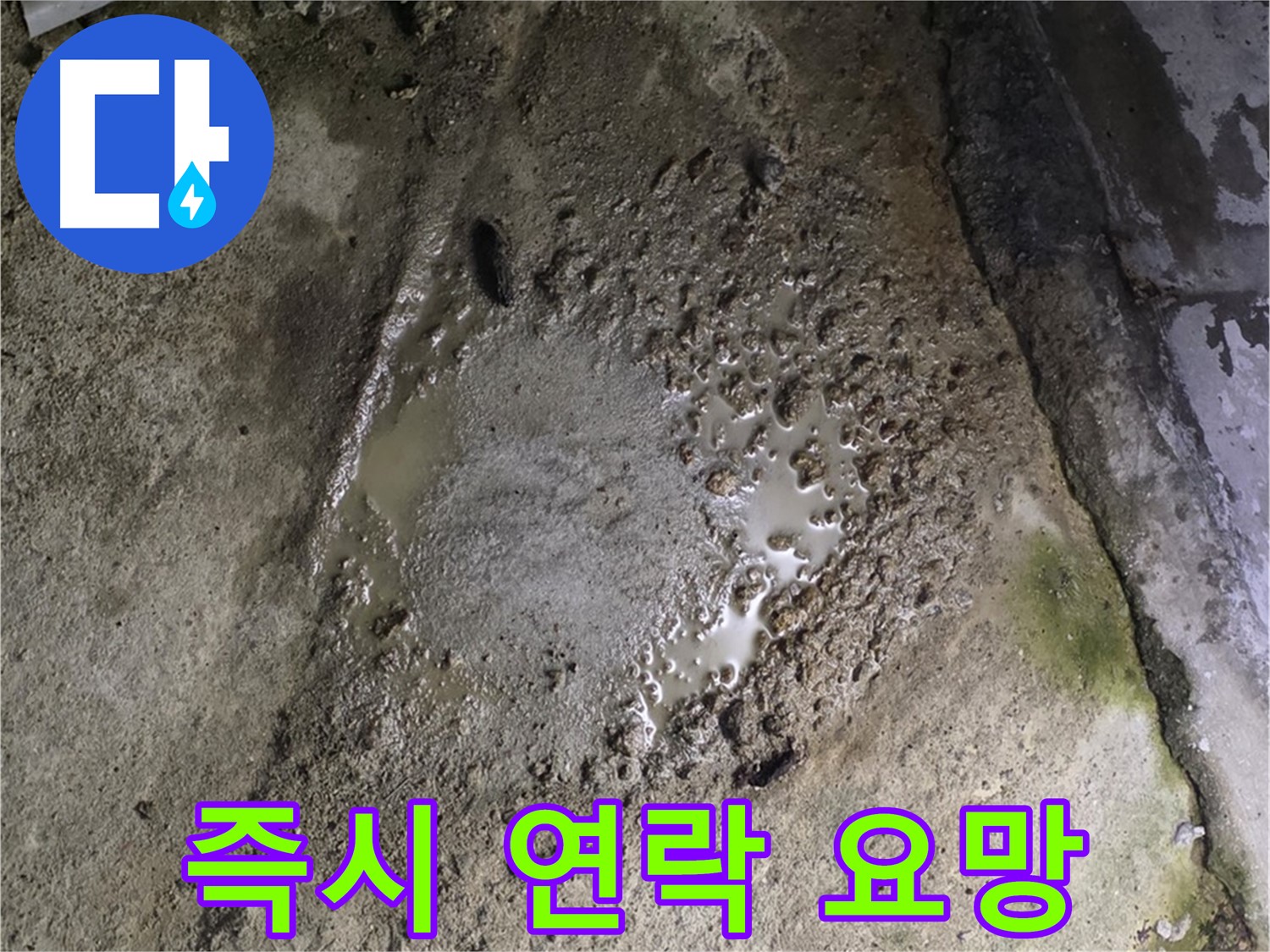 강원특별자치도 철원군 서면 - 콘크리트 건물에서 물이 샌다면 즉시 전문가에게 연락하여 상담받으세요.