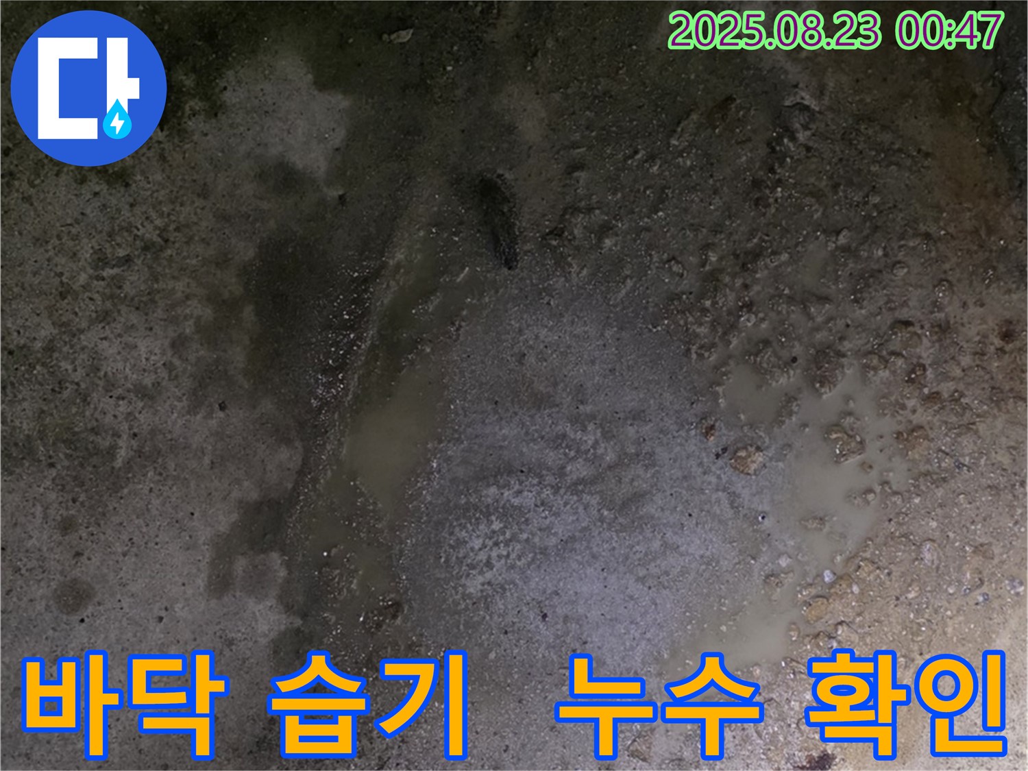 바닥의 습기 - 철원군 서면 와수리 누수 현장에서 누수탐지 전문가가 습기를 통해 누수 위치를 추정하고 있습니다.