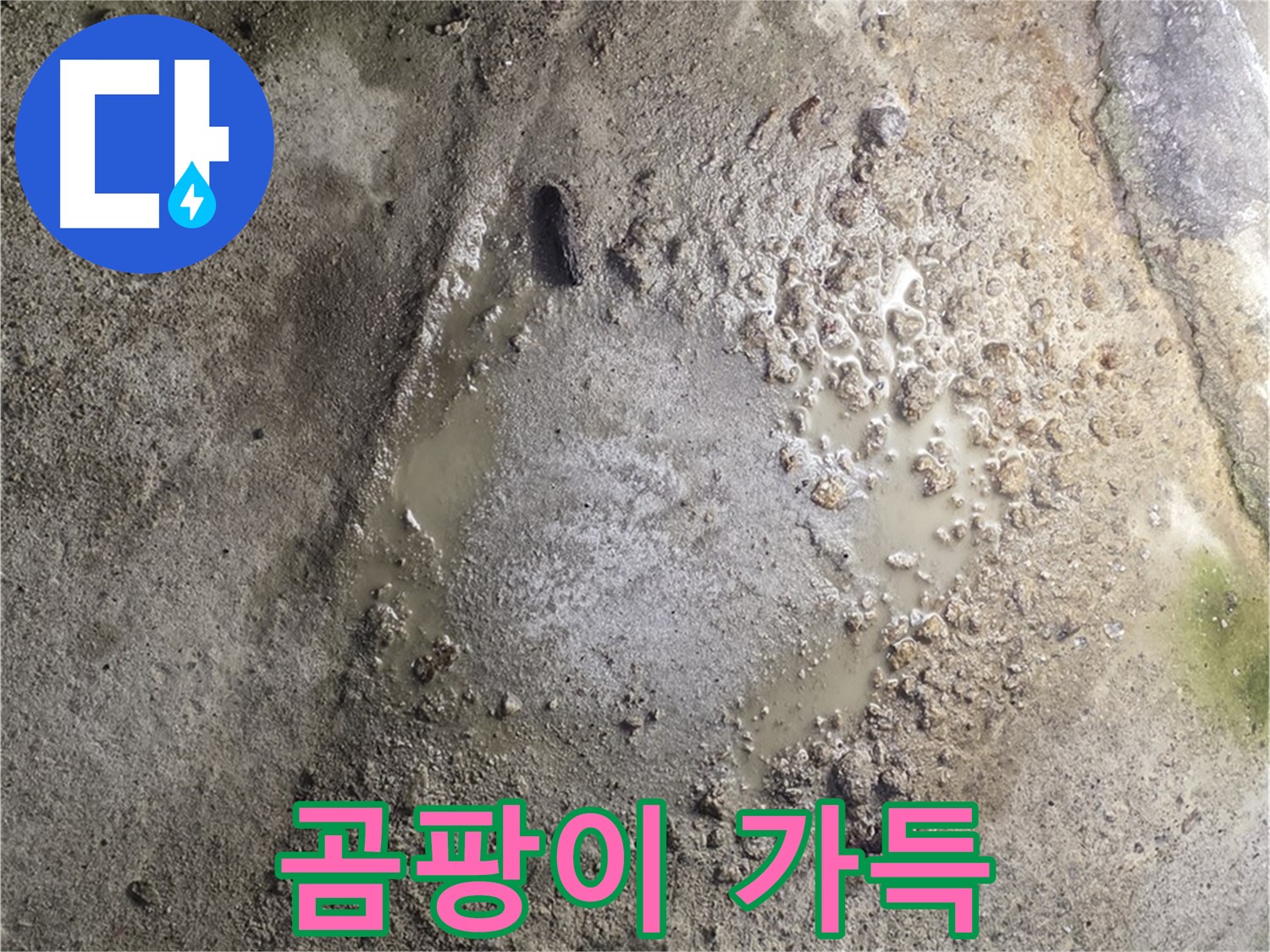 철원군 서면 와수리 누수 - 곰팡이 가득한 공간, 확실한 누수 해결로 건강까지 지켜드립니다.