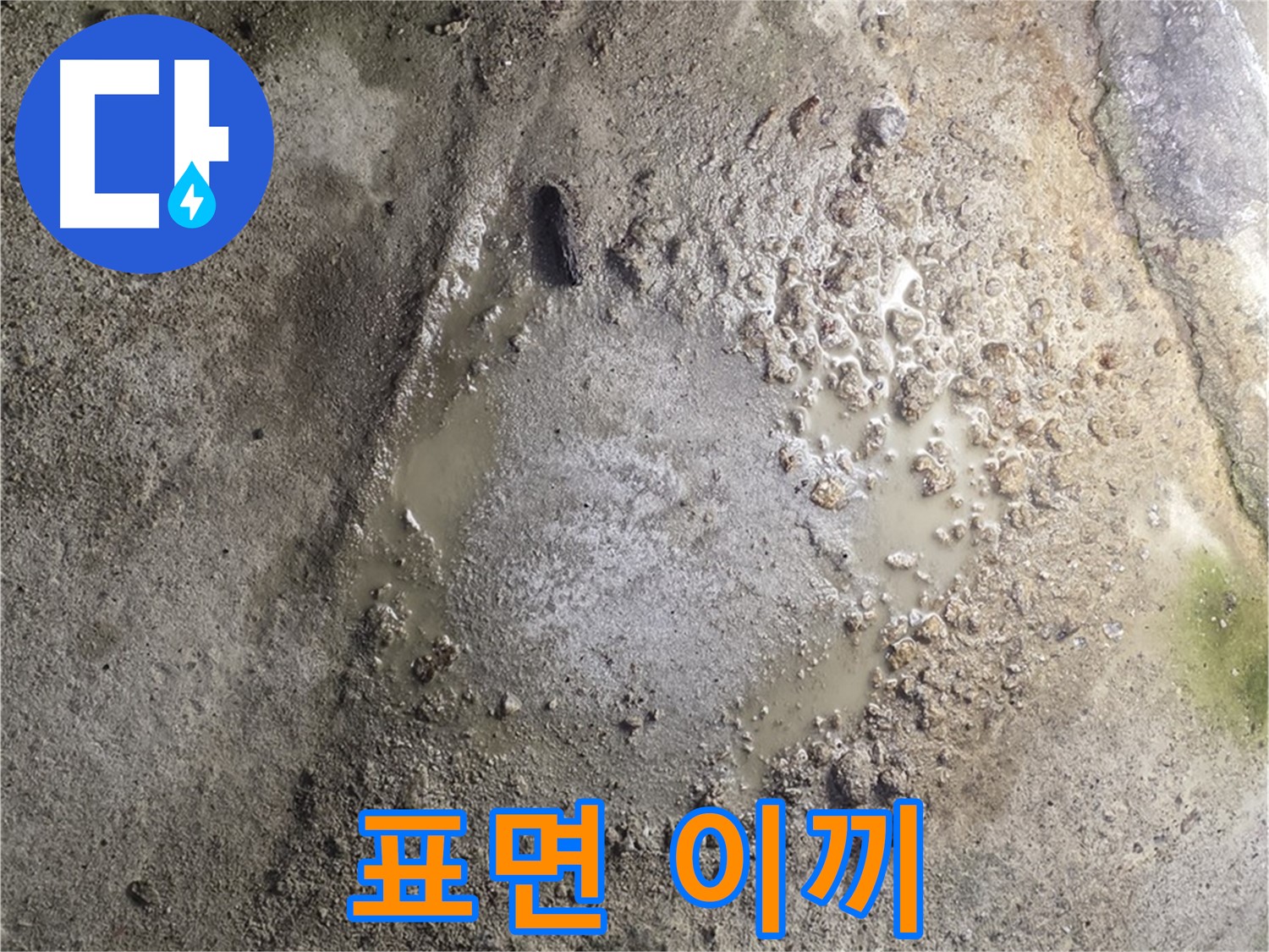 철원군 서면 와수리 누수 - 콘크리트 표면에 이끼가 낀 것은 지속적인 습기와 누수가 있다는 증거입니다 - 근본적인 해결책이 필요합니다.