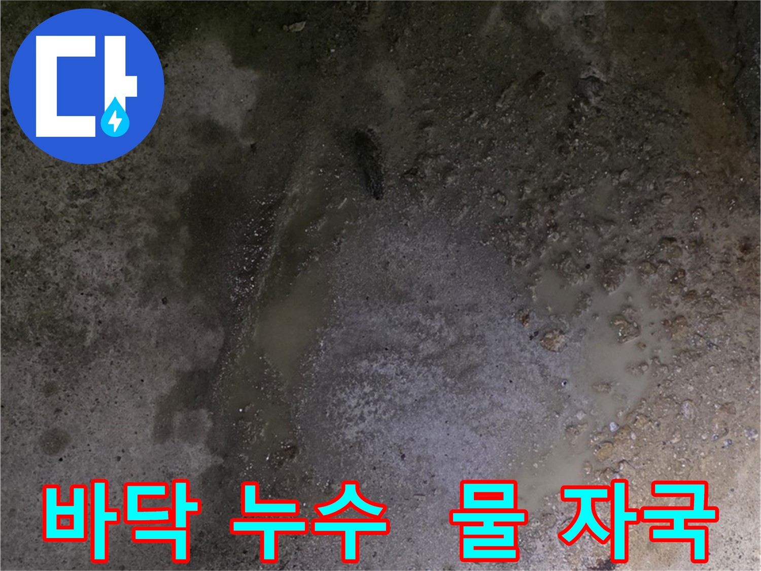 철원군 서면 와수리 누수 현장 - 바닥에 남아있는 물 자국은 누수 발생을 암시합니다.