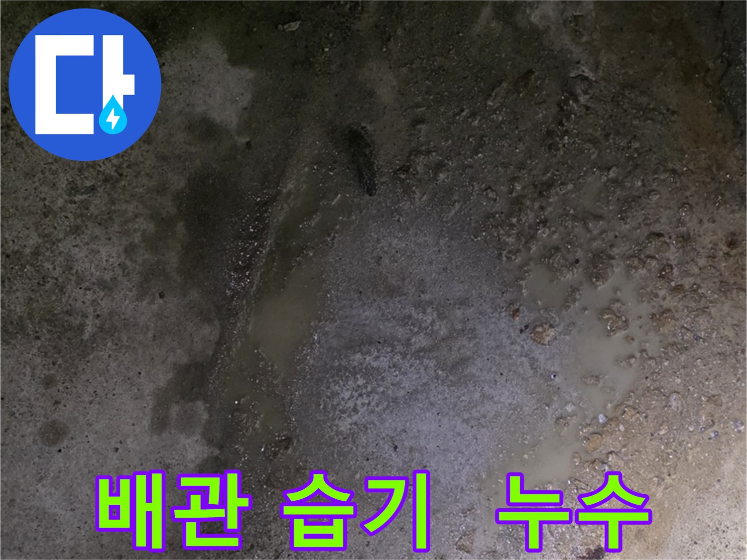 철원군 서면 와수리 누수 현장 - 배관 주변에 습기가 차 있는 모습, 누수를 의심해 볼 수 있습니다.
