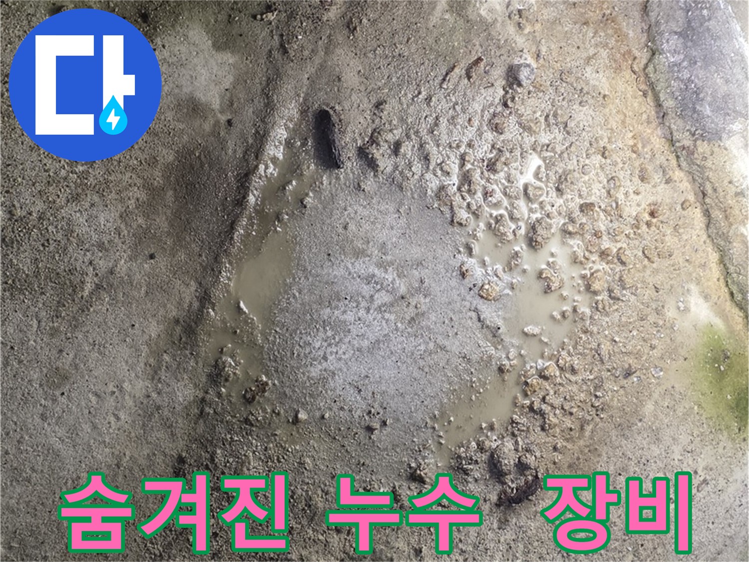 철원군 서면 와수리 누수 현장 - 숨겨진 누수를 첨단 장비를 사용하여 정확하게 탐지하는 모습입니다.