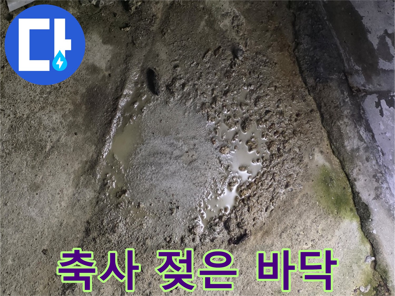 철원군 서면 와수리 - 축사 젖은 바닥은 누수의 징후입니다.