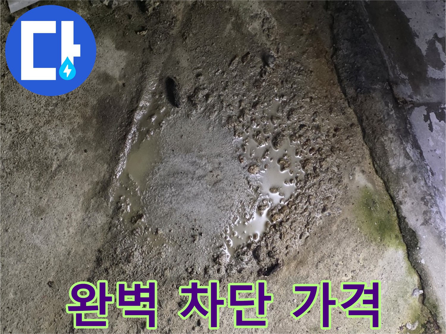 철원군 서면 와수리 - 콘크리트 건물 바닥에 물이 고여있는 모습, 완벽하게 차단하고 합리적인 가격으로 제공합니다.