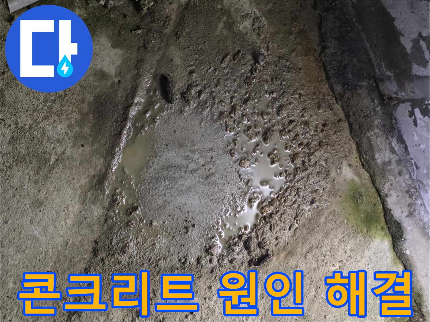 철원군 서면 와수리 - 콘크리트 건물 바닥에 물이 고여있는 모습, 원인부터 해결까지 속 시원하게 해결해 드립니다.