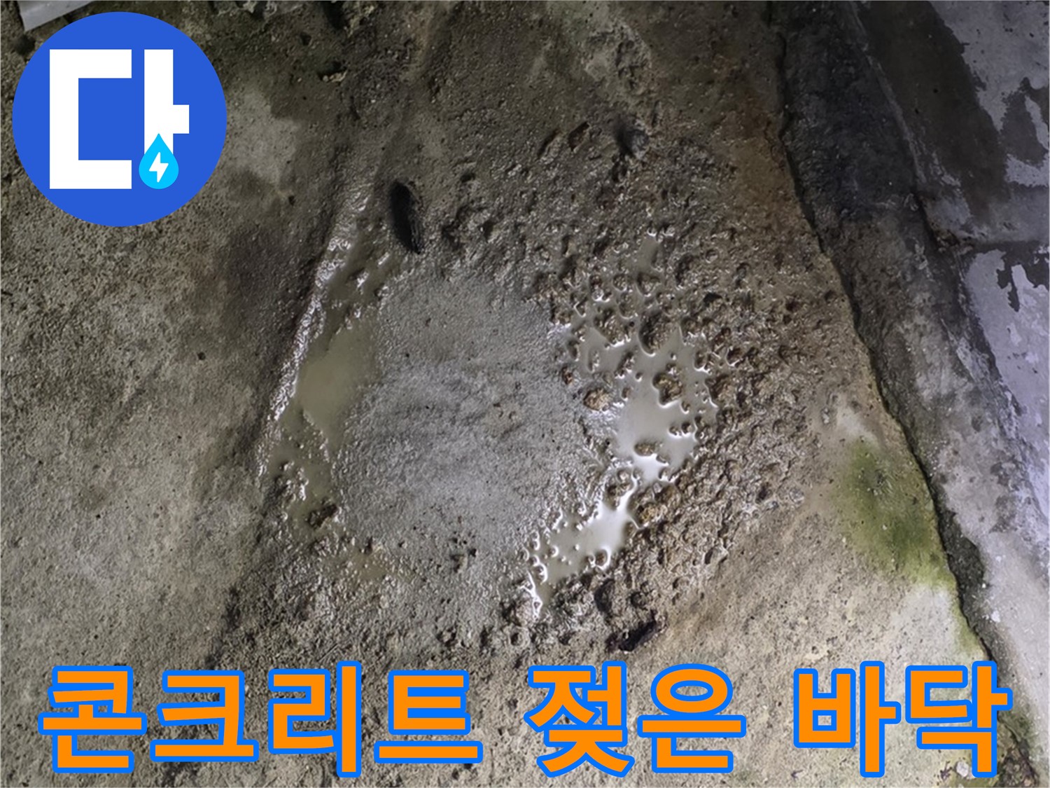 철원군 서면 와수리 - 콘크리트 건물 젖은 바닥은 누수의 징후입니다.