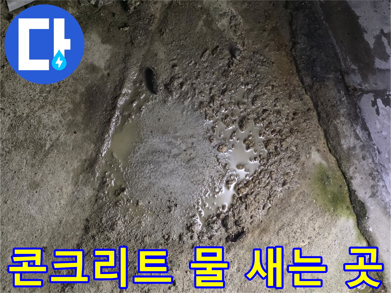 철원군 서면 와수리 - 콘크리트 바닥에 물이 스며들어 젖어있는 모습은 누수 지점을 찾기 어렵게 만듭니다.
