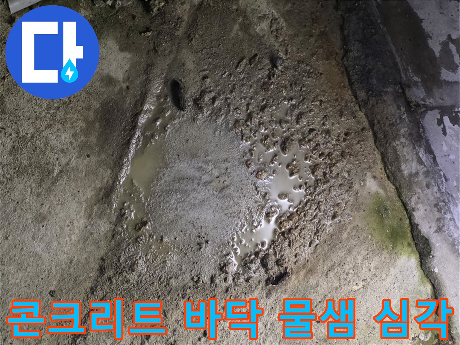 철원군 서면 와수리 - 콘크리트 바닥에서 물이 계속 새고 있는 심각한 누수 상황입니다.