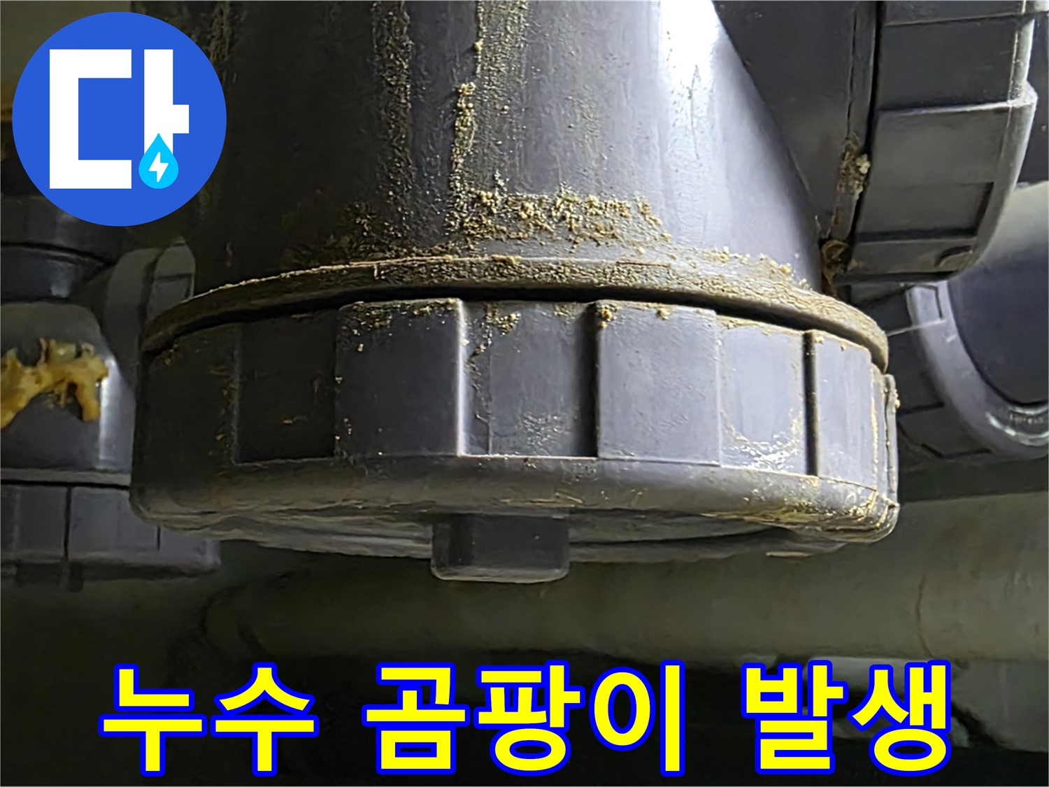 PVC 배관 연결부 누수 흔적 - 건물 내부 습도 상승 및 곰팡이 발생