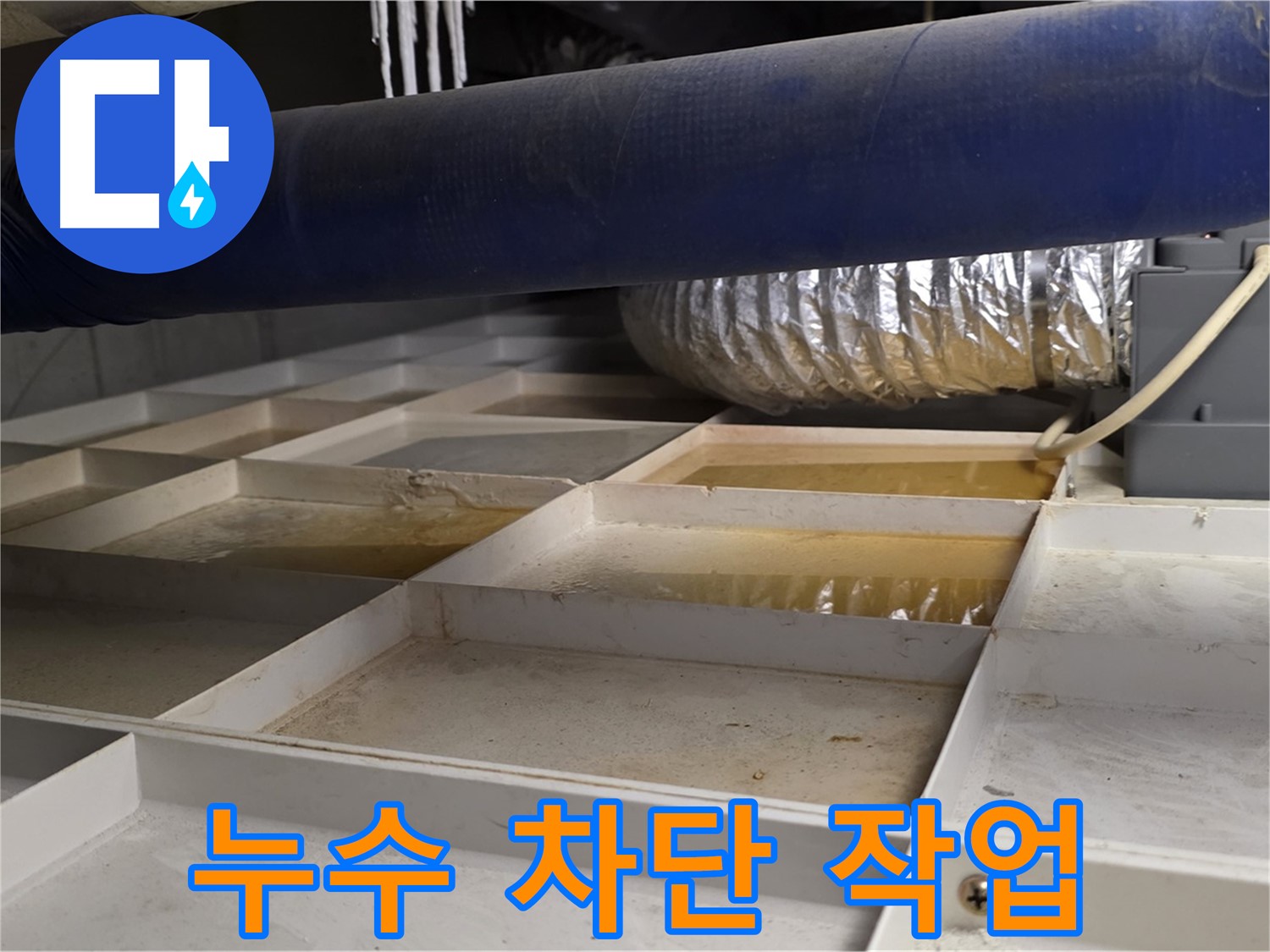 건물 하부 격자 누수 차단 - 완벽 시공 약속