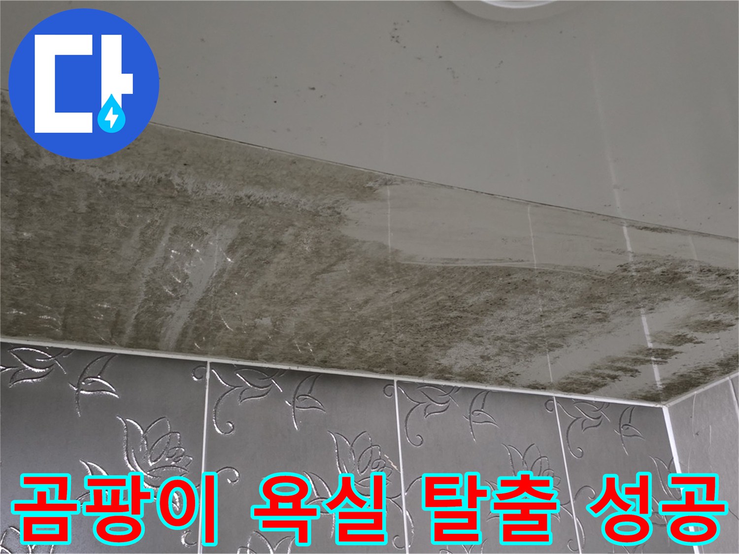 곰팡이 가득한 욕실 - 숨은 누수 지점을 찾아 완벽하게 해결하는 과정!