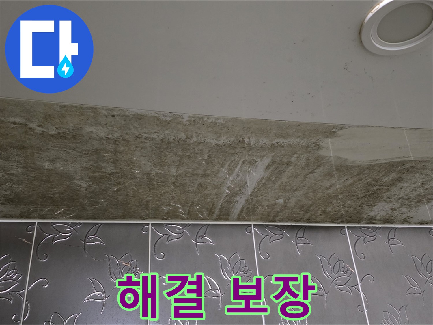 곰팡이 가득한 화장실 - 누수 원인 찾고 확실하게 해결 보장