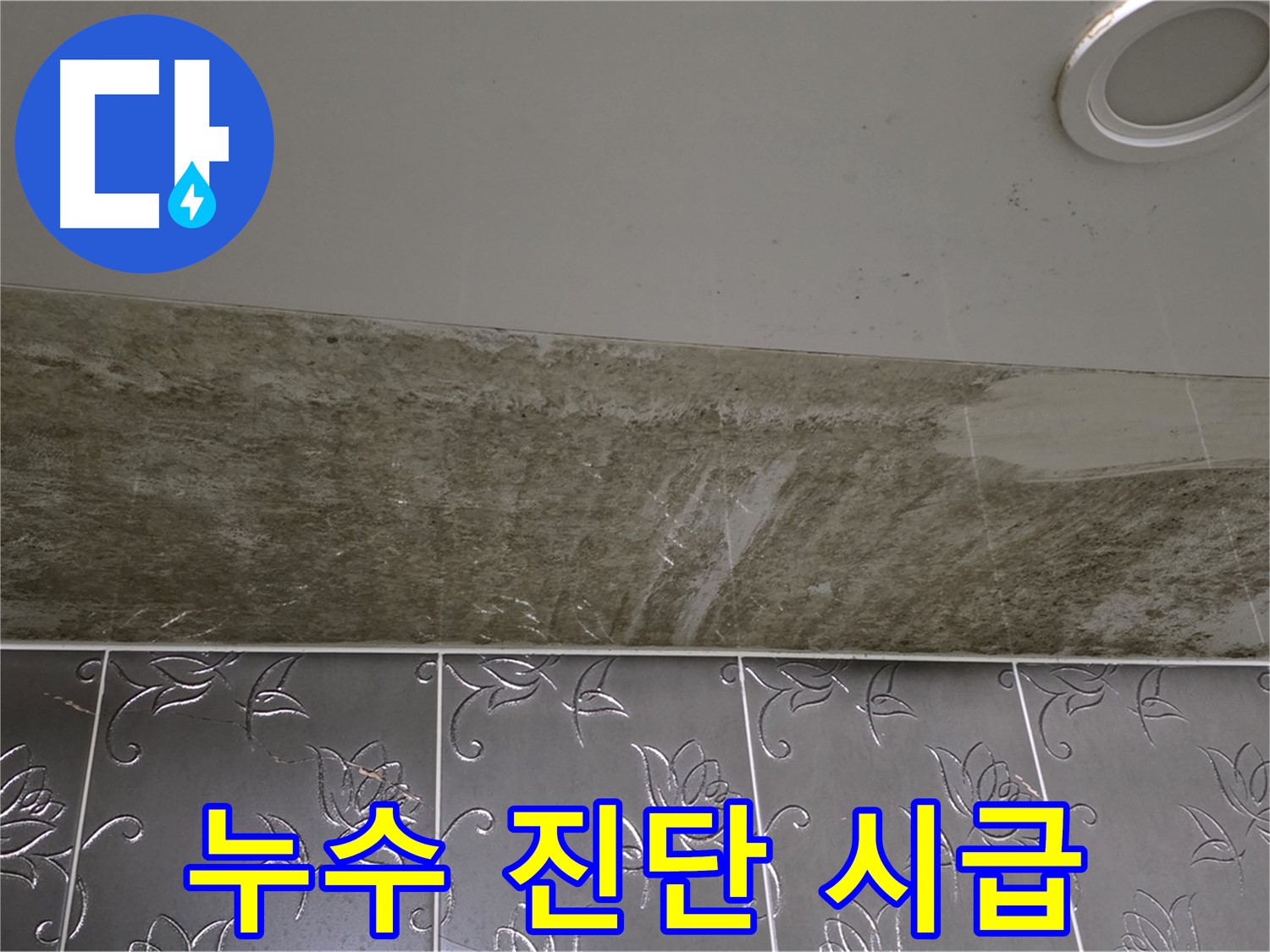 곰팡이 뒤덮인 화장실 천장 - 누수 진단이 시급한 상황