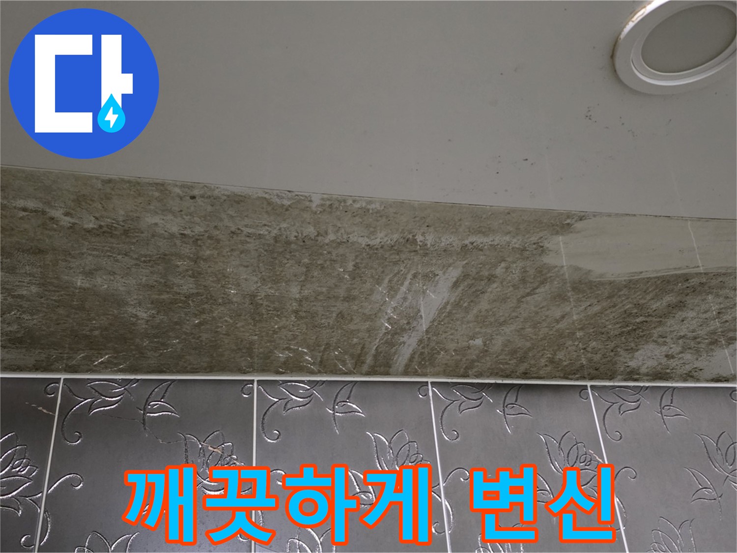 곰팡이 핀 화장실 - 곰팡이 흔적 없이 깨끗하게 변신