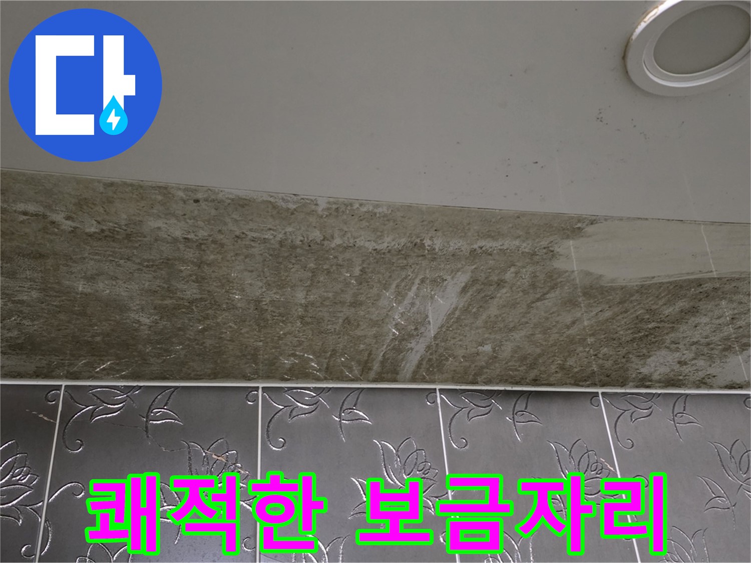 곰팡이 핀 화장실 천장 - 곰팡이 Bye, 쾌적한 보금자리