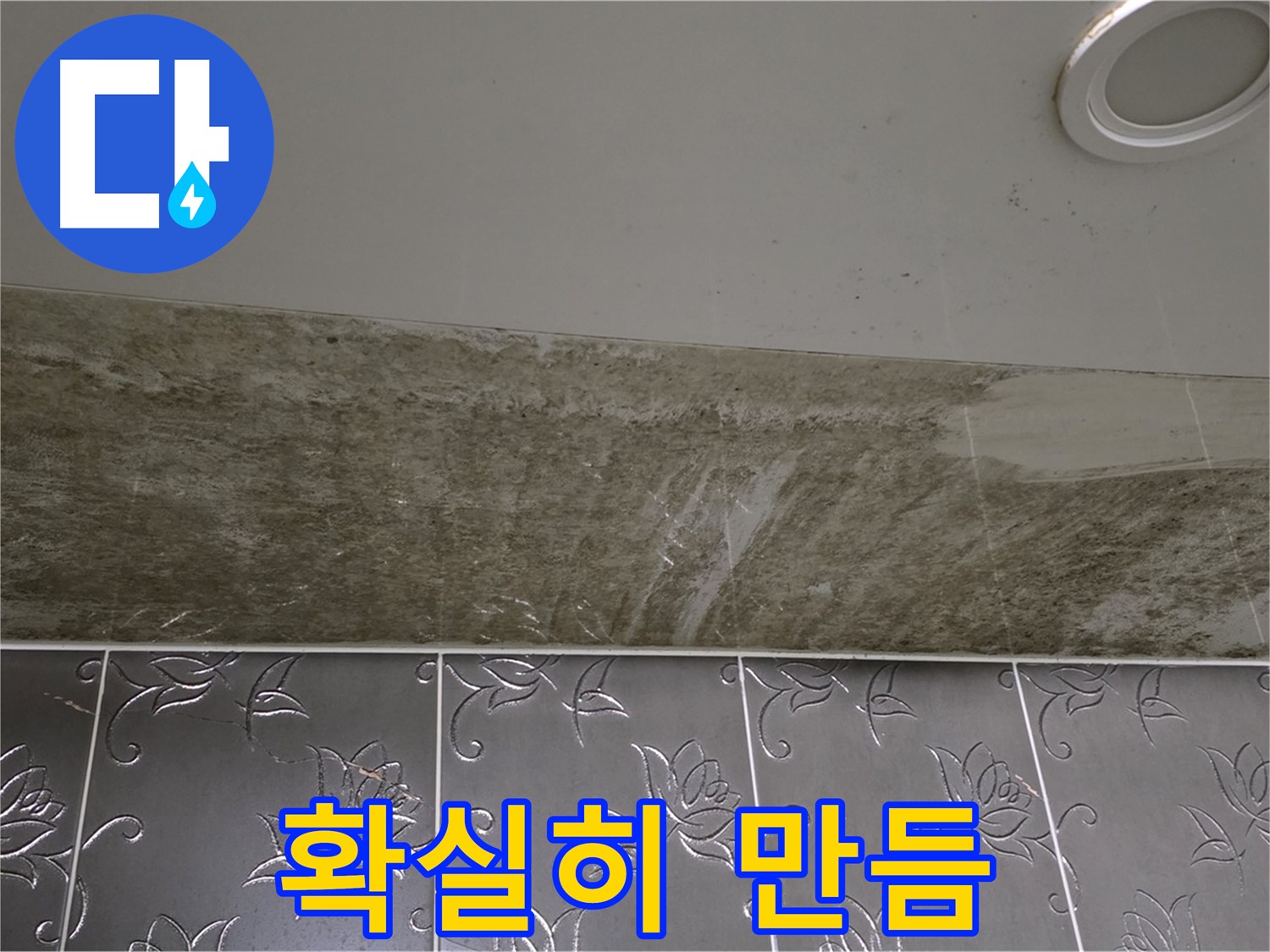 곰팡이 핀 화장실 천장 - 곰팡이 제로, 뽀송뽀송한 욕실! 확실하게 책임지고 만들어 드릴게요!