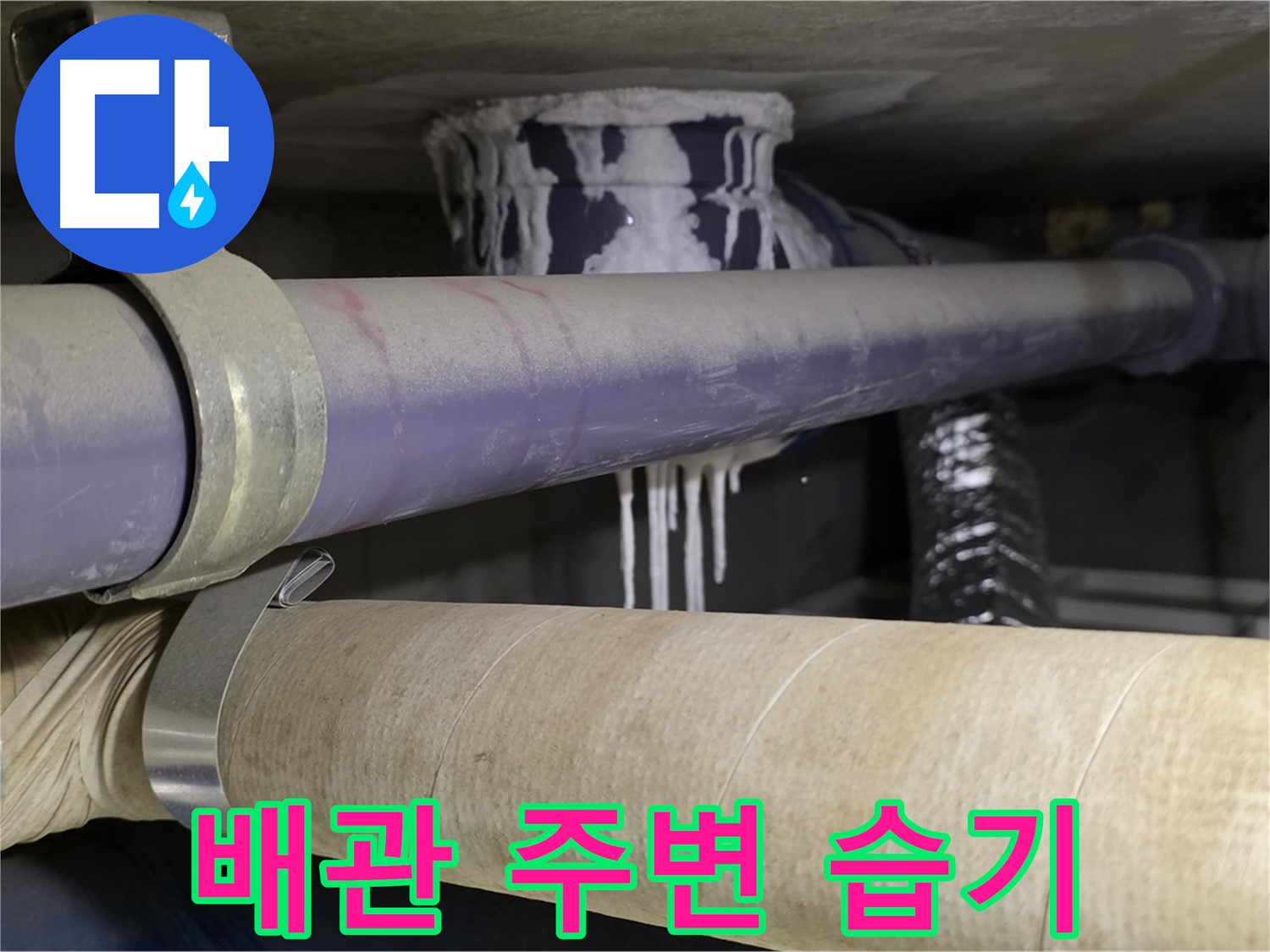 배관 주변 습기 - 누수 초기 증상일 수 있으니 주의 깊게 살펴봐야 합니다.