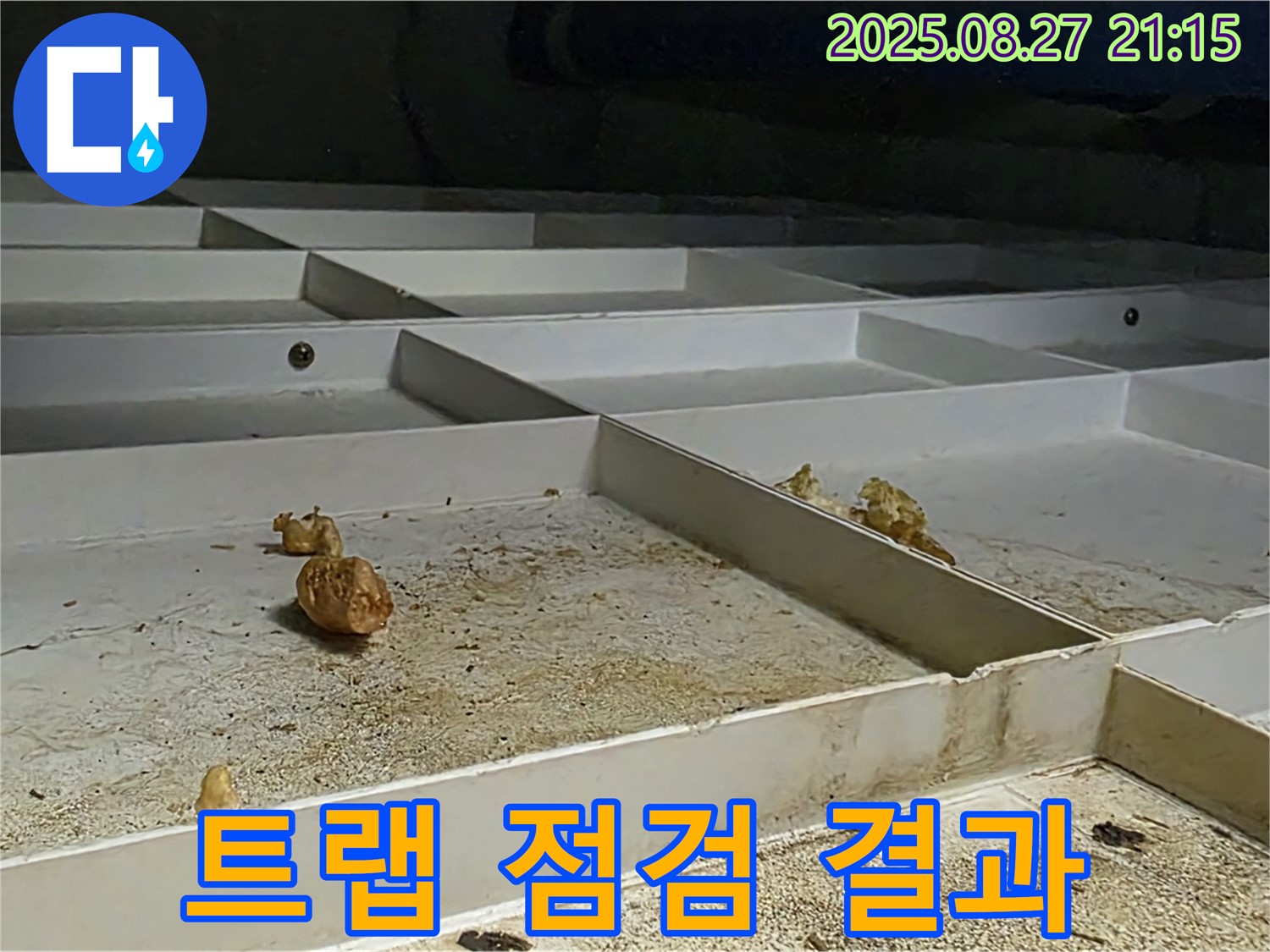 배수 트랩 점검 결과 - 꼼꼼한 점검으로 안전을 확인합니다.