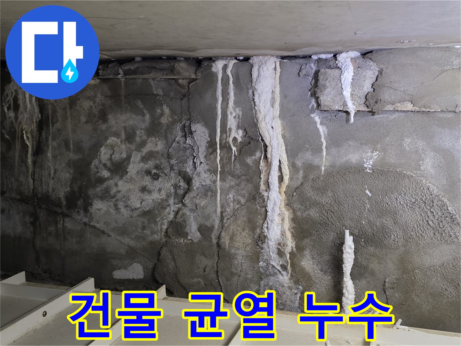 벽체 균열을 통한 건물 누수 - 정밀 진단과 보수 공사 필요
