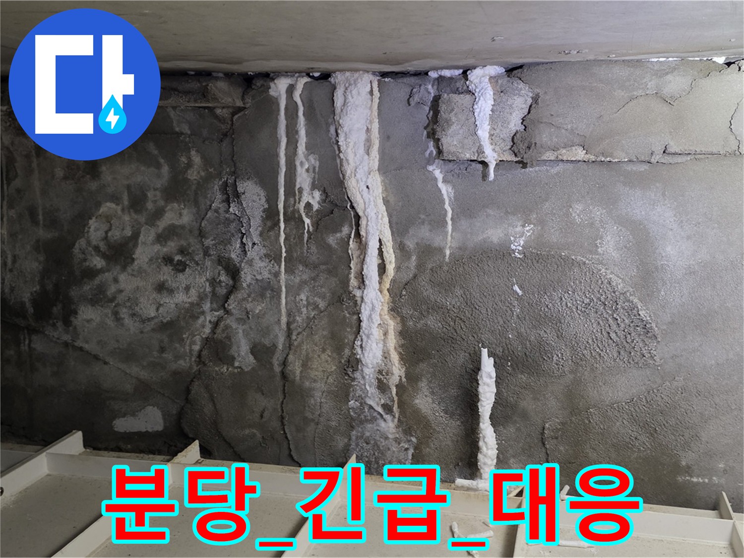분당 콘크리트 누수 - 신속한 긴급 대응
