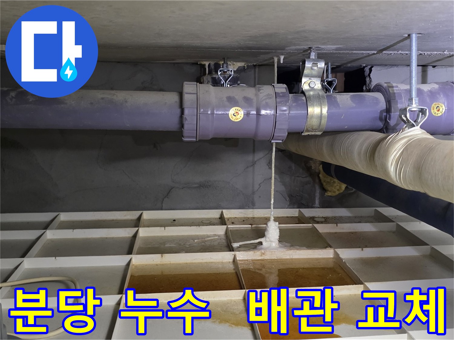 분당 배관 누수 - 낡은 연결 부위, 새 배관으로 교체하여 확실하게 해결