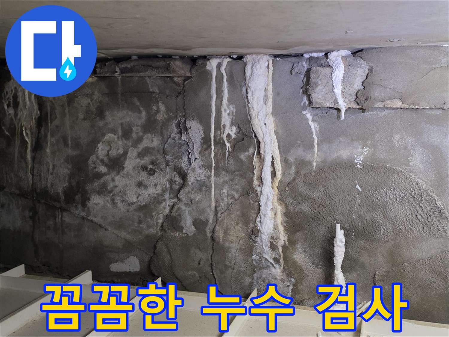 분당 운중동 건물 누수 - 꼼꼼한 검사로 곰팡이 발생 위험 진단