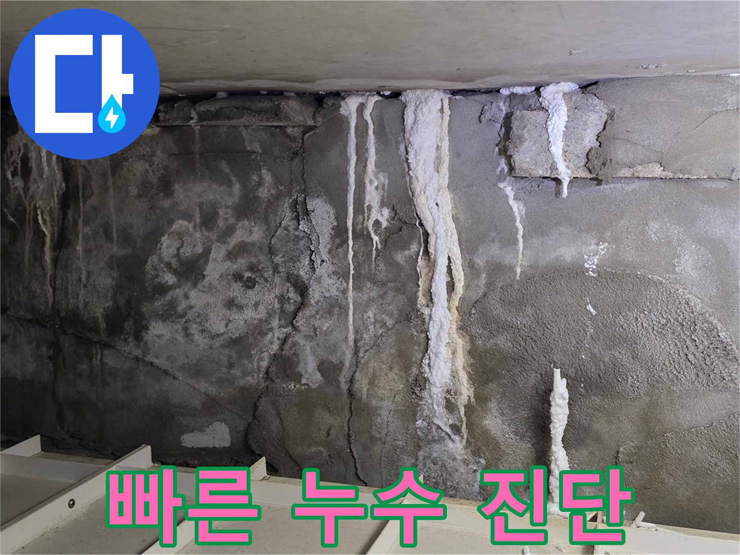 분당 운중동 건물 누수 - 신속한 진단으로 빠른 해결