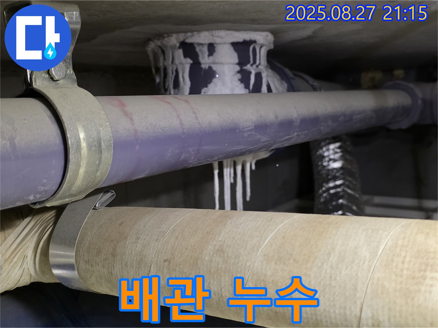 분당 운중동 산운로 아파트 배관에서 발생한 누수 - 배관에 물방울이 맺혀 있습니다.