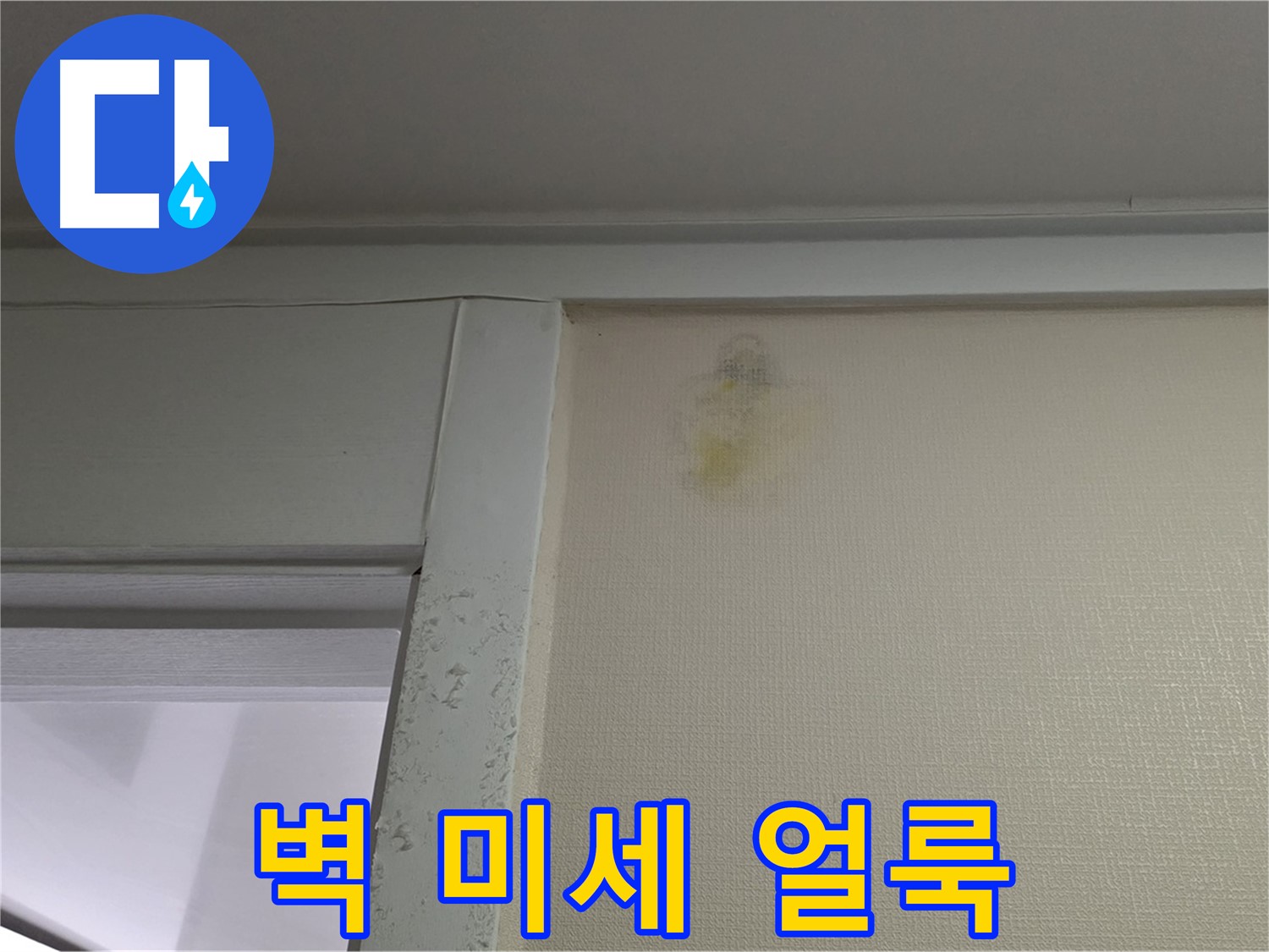 분당 운중동 산운마을 아파트 - 벽 미세 얼룩 누수 초기 진단