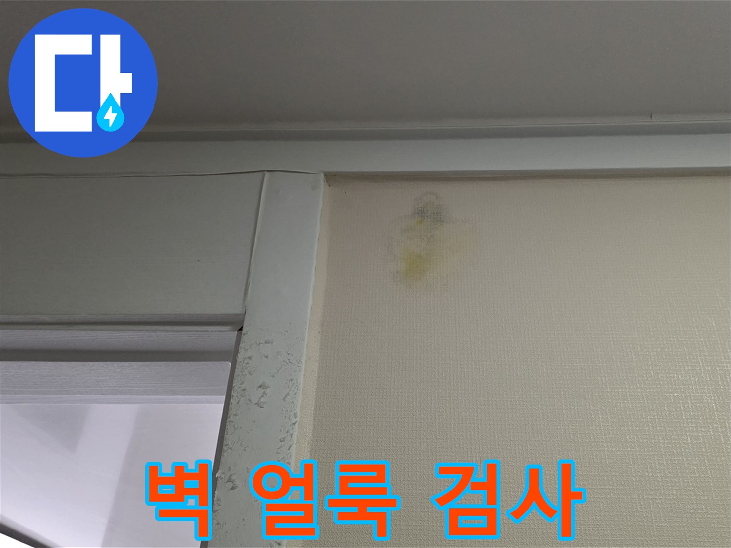 분당 운중동 산운마을 아파트 벽 얼룩 - 초기 누수 의심 및 정밀 검사 진행