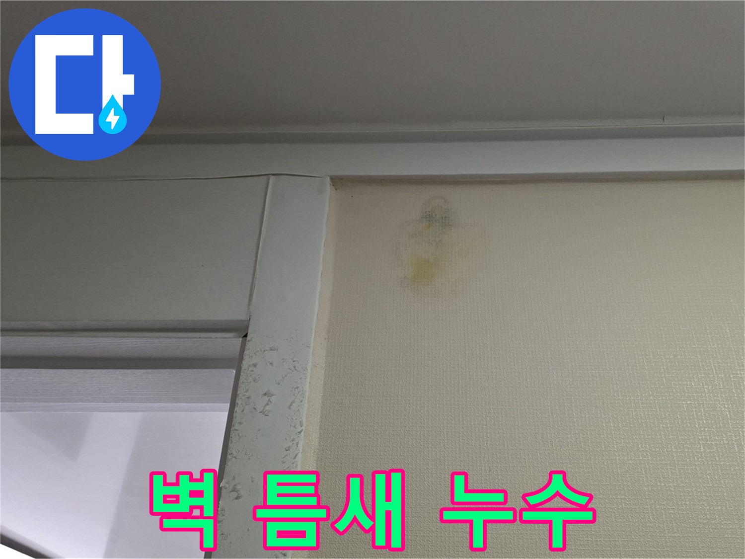 분당 운중동 산운마을 아파트 벽 틈새 누수 - 초기 발견 및 정밀 진단