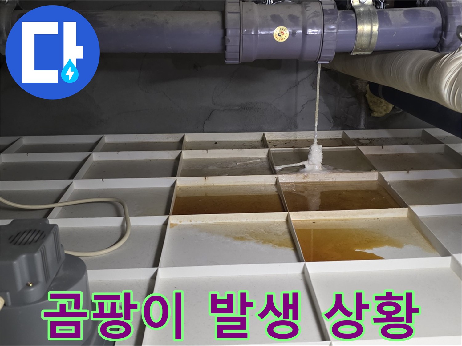분당구 운중동 산운마을 6단지 누수 현장, 곰팡이가 심각하게 발생한 모습 - 건강을 위협하는 누수, 빠른 해결이 필수입니다.