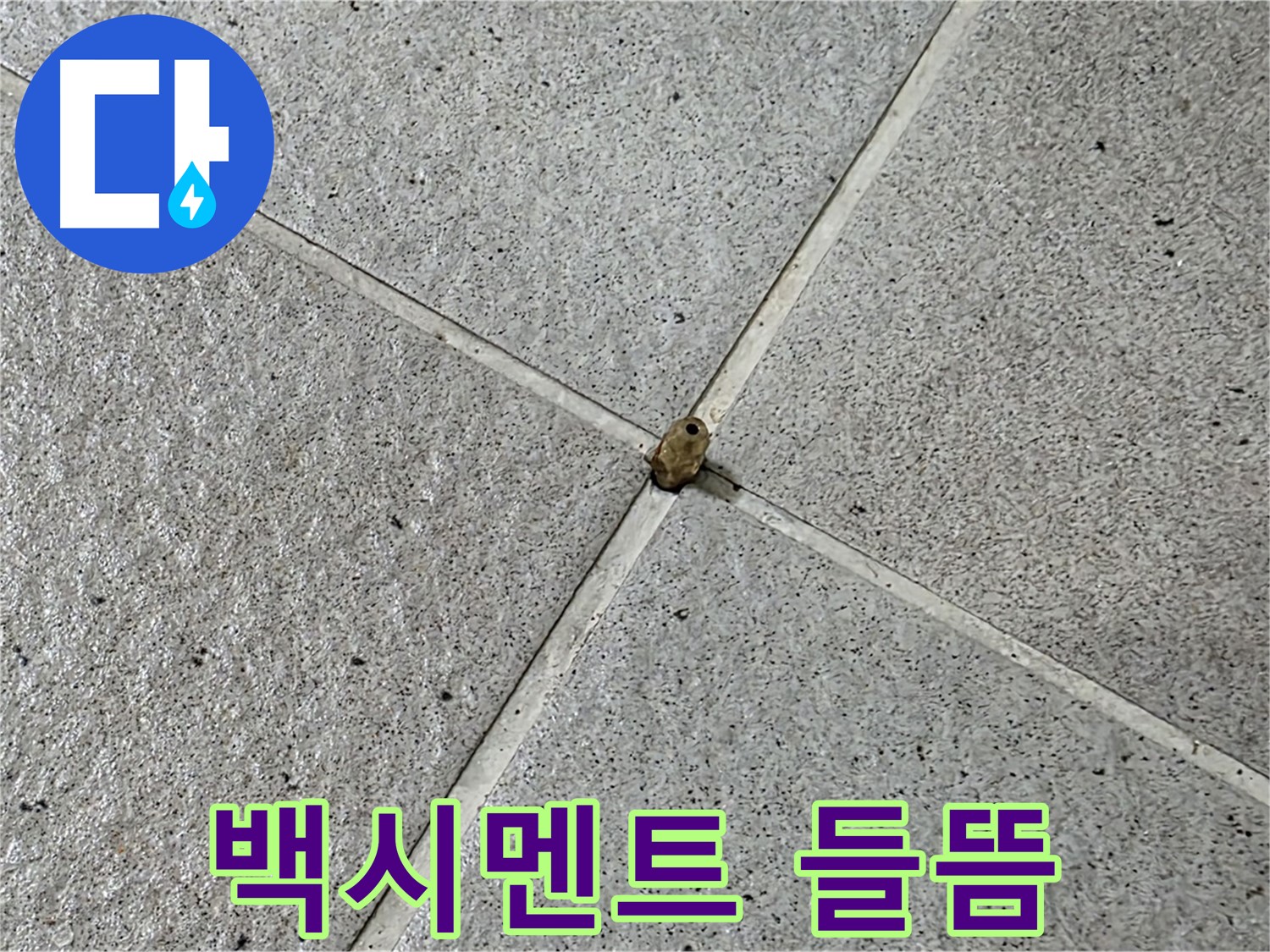 분당구 운중동 산운마을 - 백시멘트 들뜸으로 인한 아랫집 피해, 신속한 조치가 필요합니다.