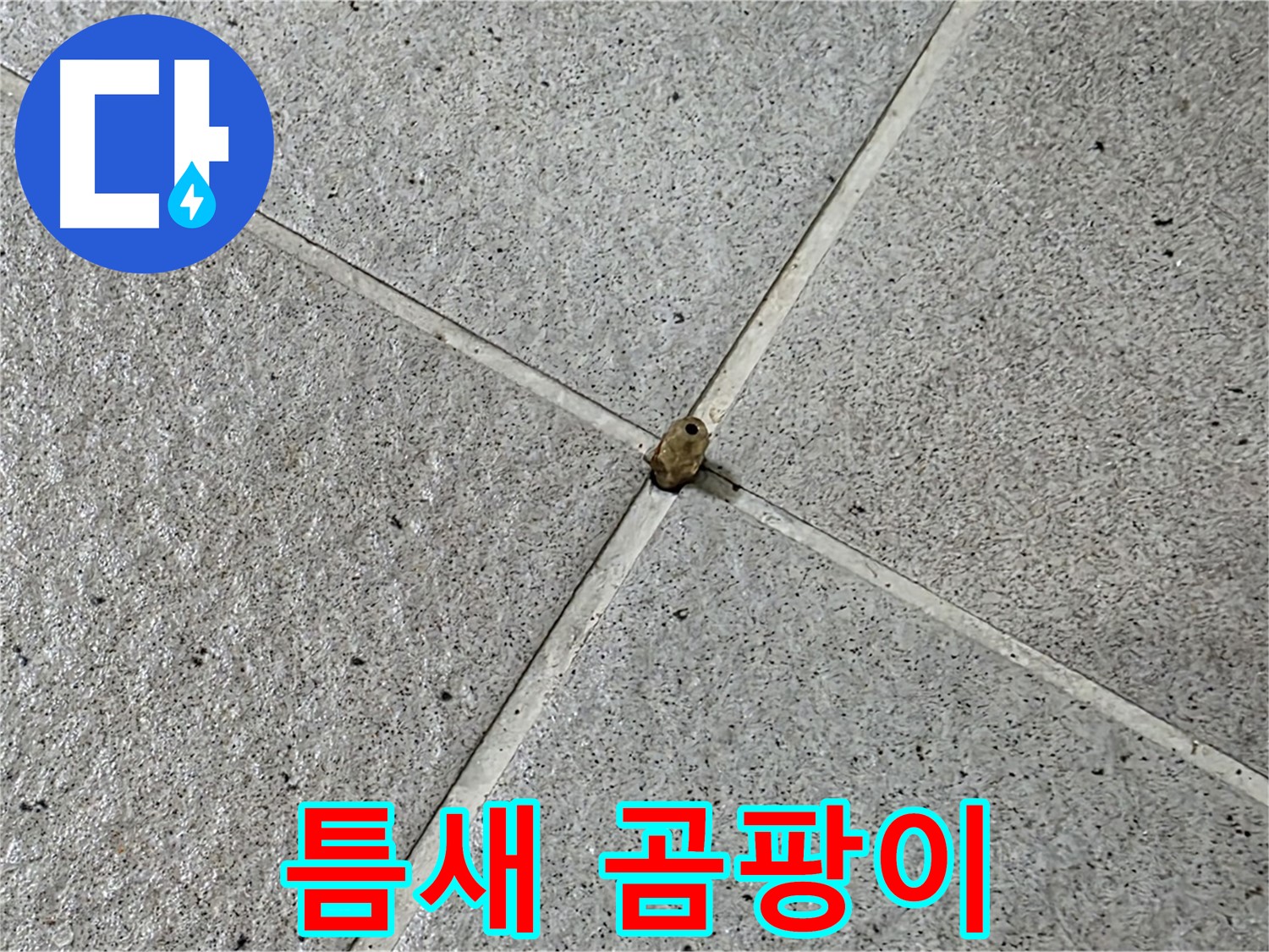 분당구 운중동 산운마을 - 타일 틈새 곰팡이는 누수의 증거입니다.