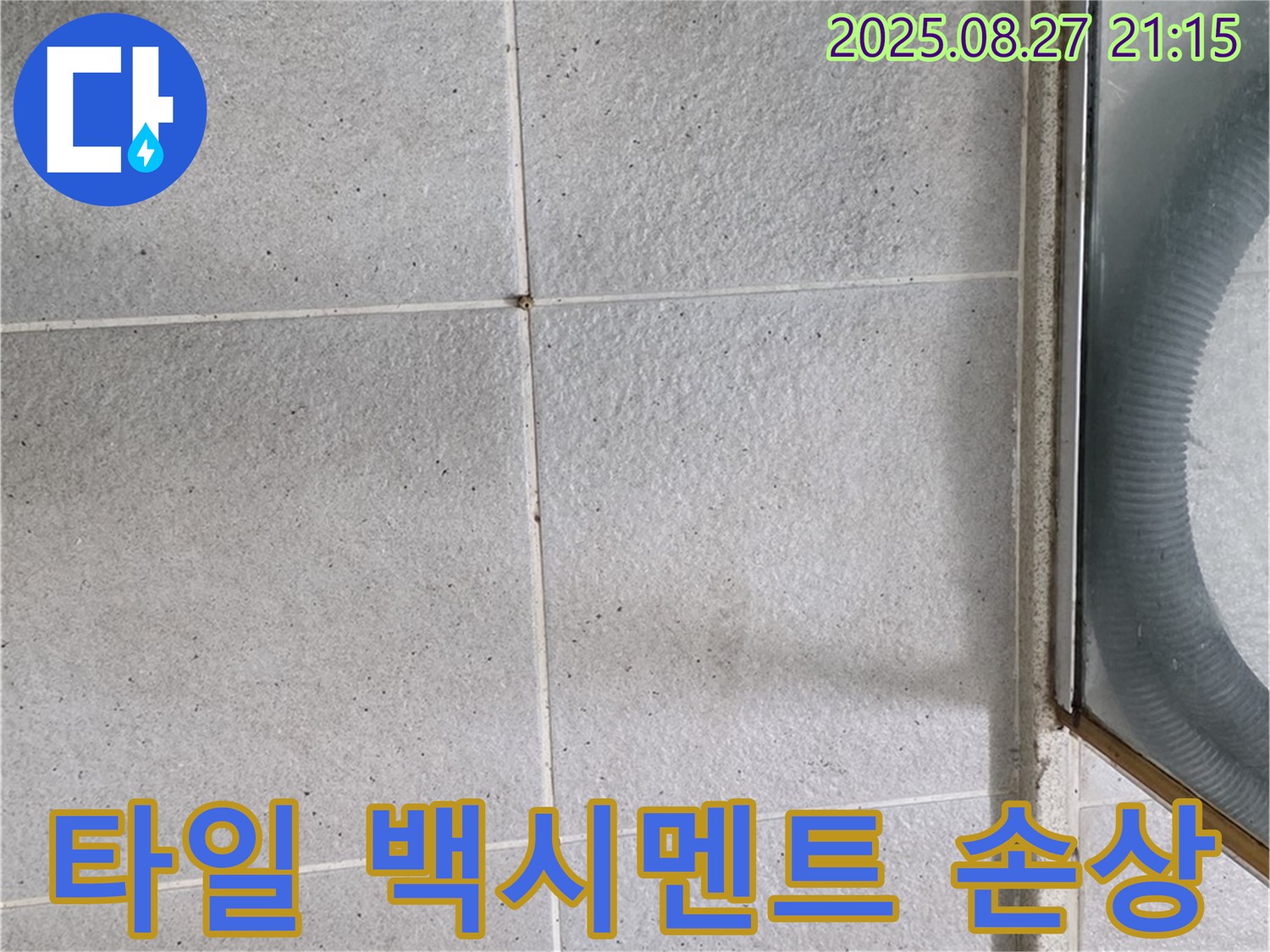 분당구 운중동 샤워부스 주변 타일 - 백시멘트 손상 확인 및 누수 점검