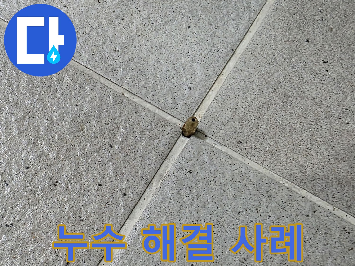 분당구 운중동 아파트 누수 해결 사례 - 타일 틈새 누수 완벽 차단