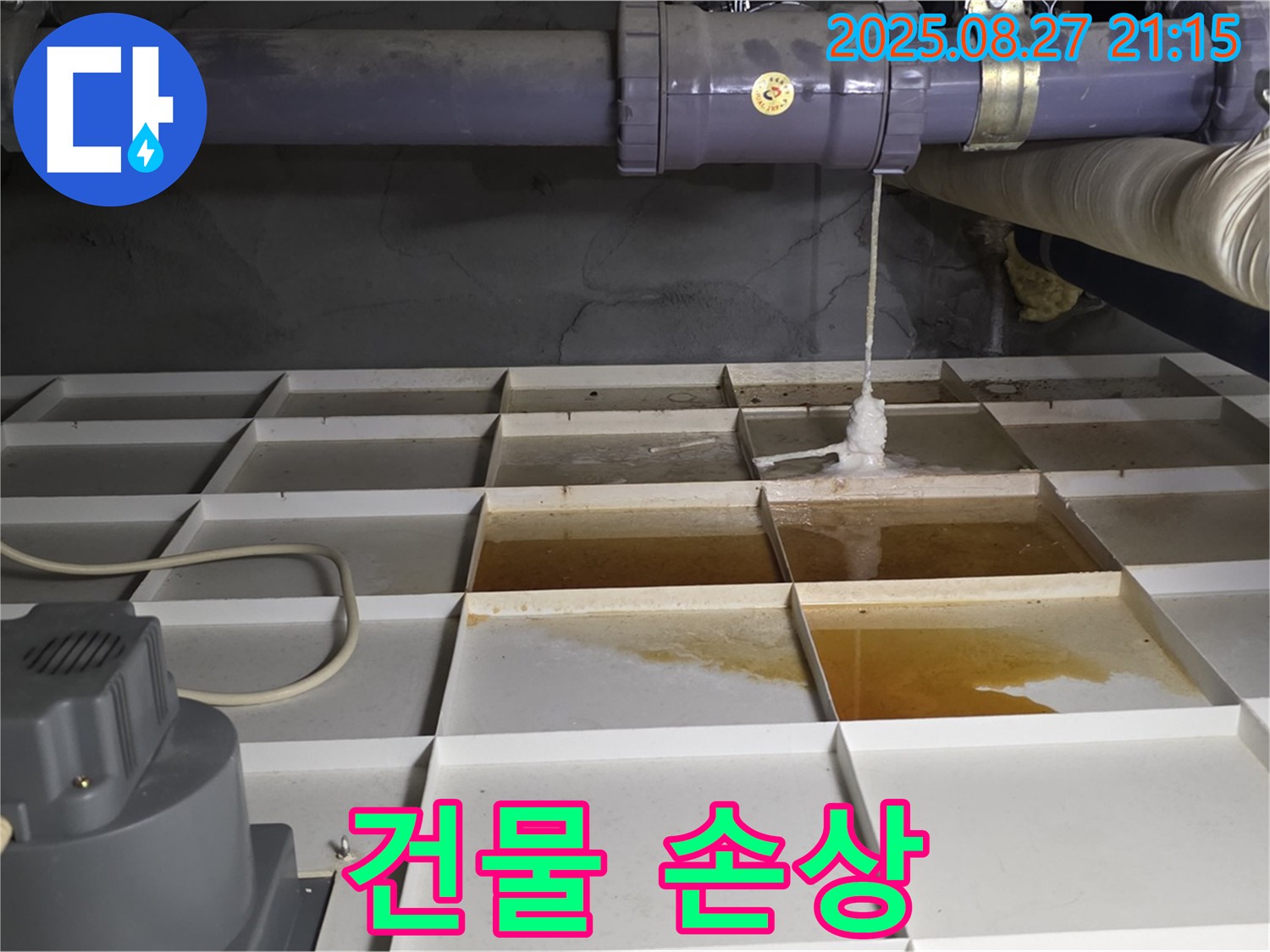 성남 분당 운중동 - 누수로 인한 건물 손상, 더 이상 방치하지 마세요.