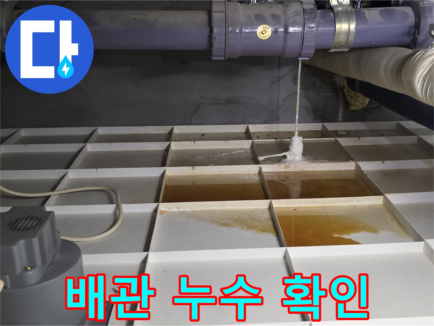 성남 분당 운중동 산운마을 6단지에서 누수탐지 전문가가 배관 누수를 확인하고 있습니다 - 정확한 진단과 신속한 해결을 약속드립니다.