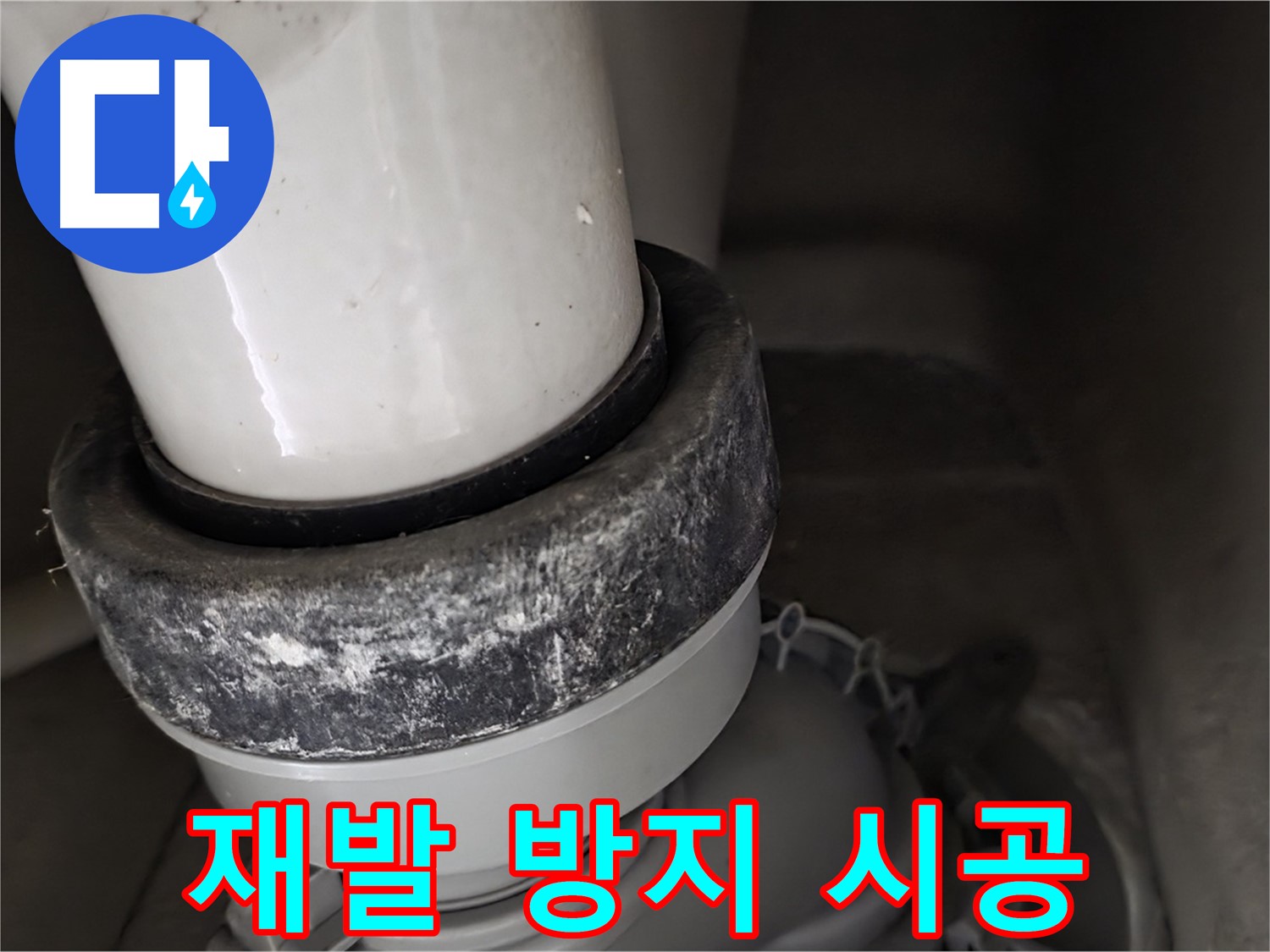 성남 분당 운중동 산운마을 변기 누수 - 오수관 누수 재발 방지를 위한 꼼꼼한 시공