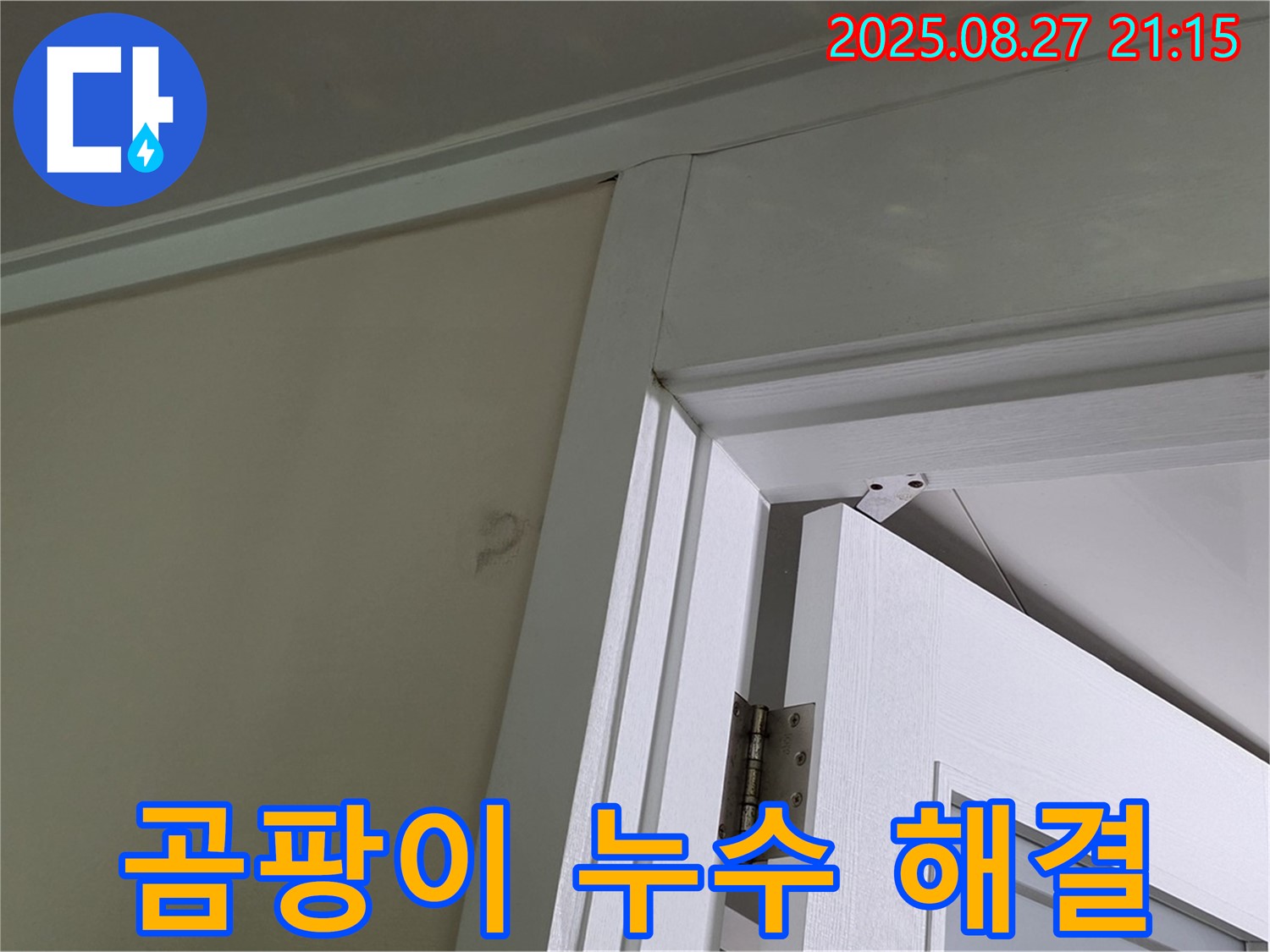 성남 분당 운중동 산운마을 아파트 문틀 곰팡이 누수 - 곰팡이와 누수, 두 가지 문제를 시원하게 해결해 드립니다.
