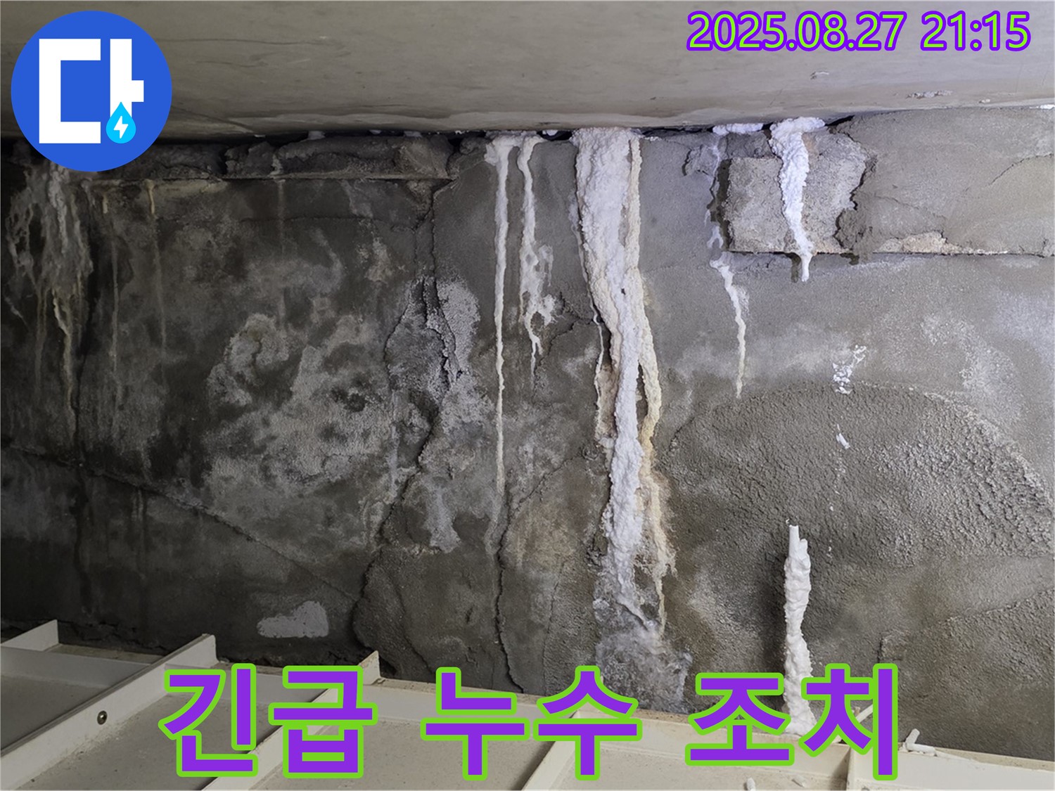 성남 분당 운중동 산운마을6단지 콘크리트 누수 - 긴급 상황, 신속한 해결이 필요합니다.