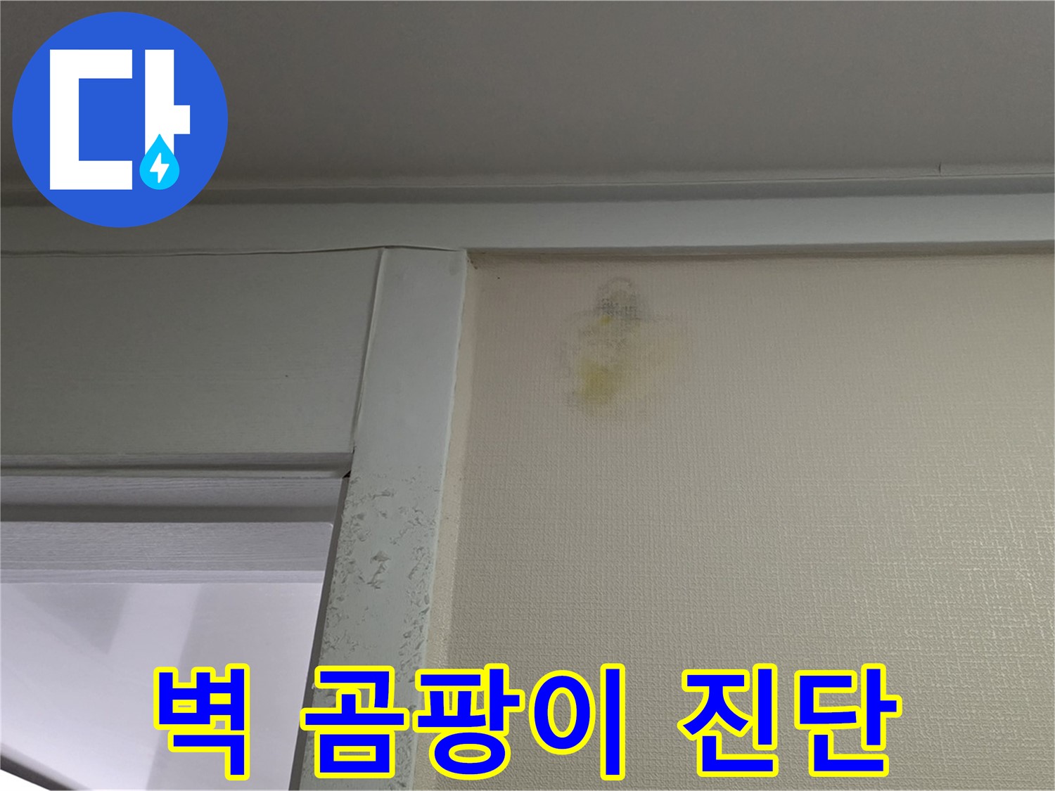 성남시 분당구 운중동 산운마을 아파트 - 벽 곰팡이 누수 초기 의심