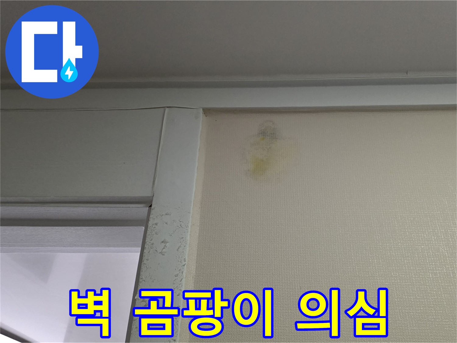 성남시 분당구 운중동 산운마을 아파트 벽 곰팡이 - 초기 누수 의심