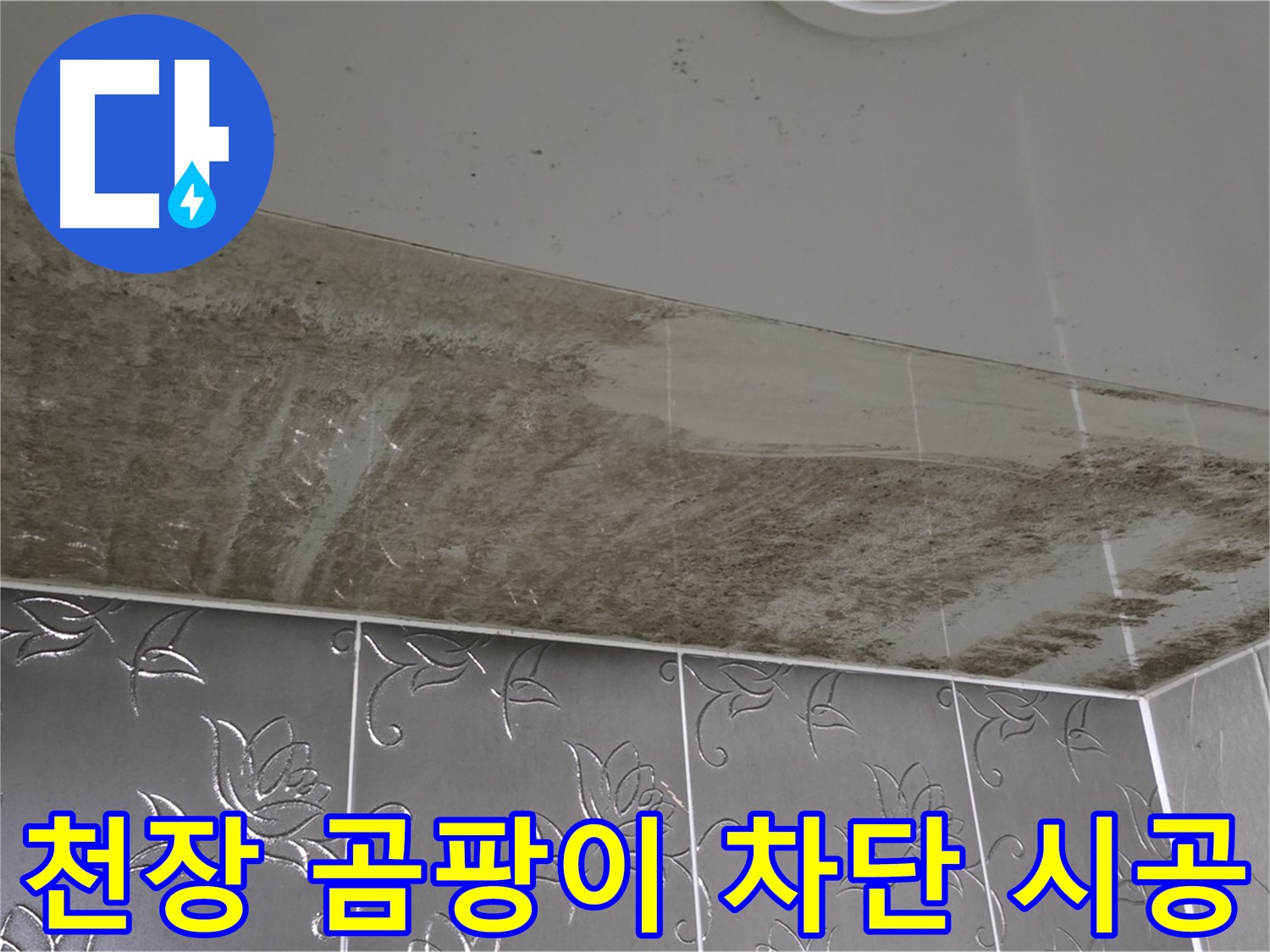 욕실 천장 곰팡이 - 누수 원인 해결 후 완벽하게 차단하는 시공 과정