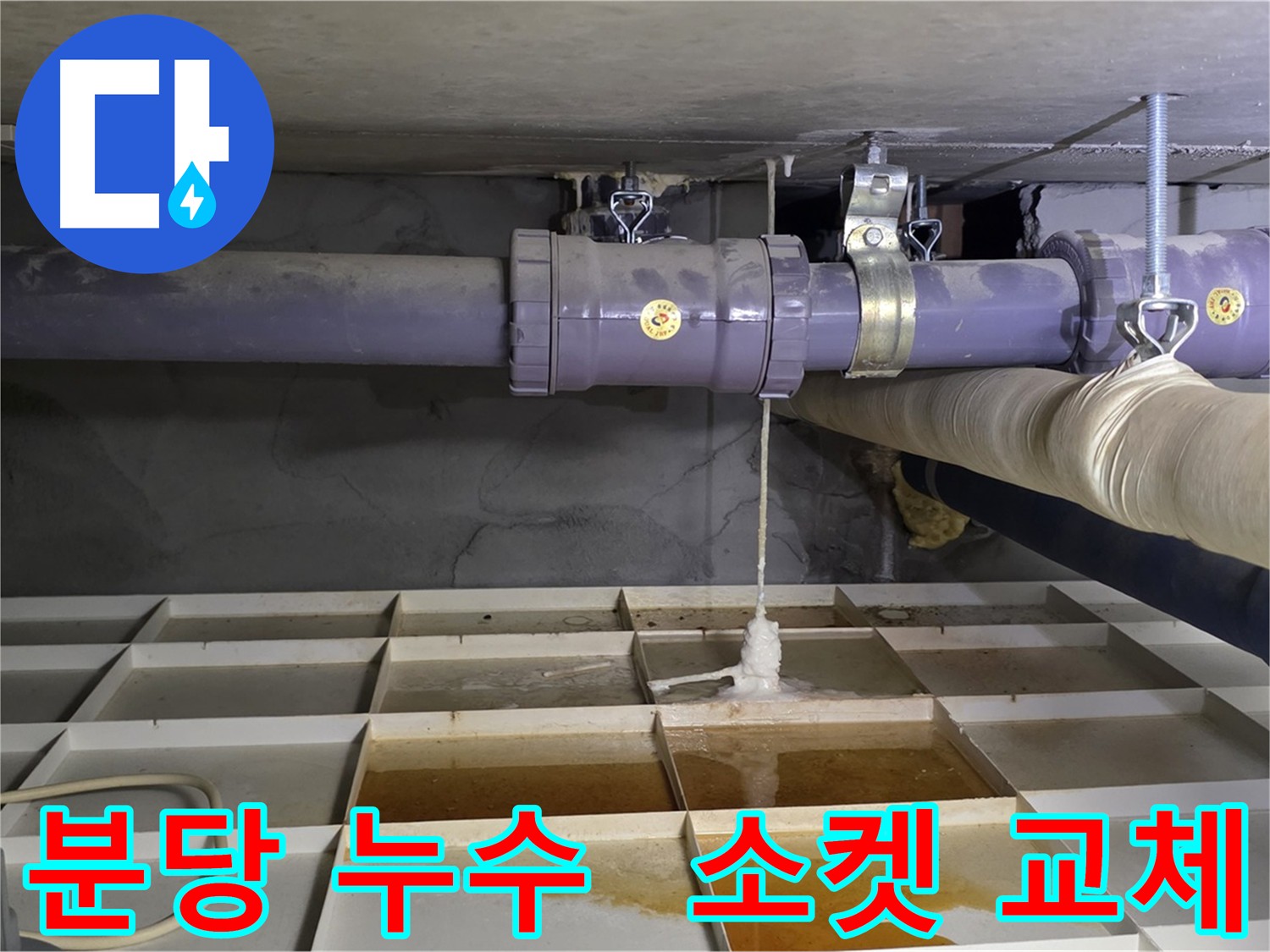 분당 PVC 배관 누수 - 파손된 연결 소켓 교체 시공 진행