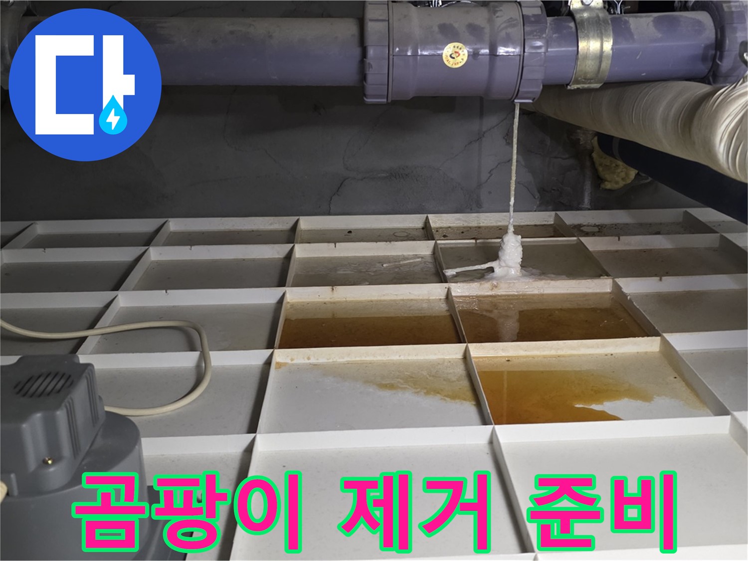 운중동 산운로 121 산운마을 6단지에서 누수 발생 지점 주변 곰팡이 제거 작업 준비 모습 - 안전하게 준비합니다.
