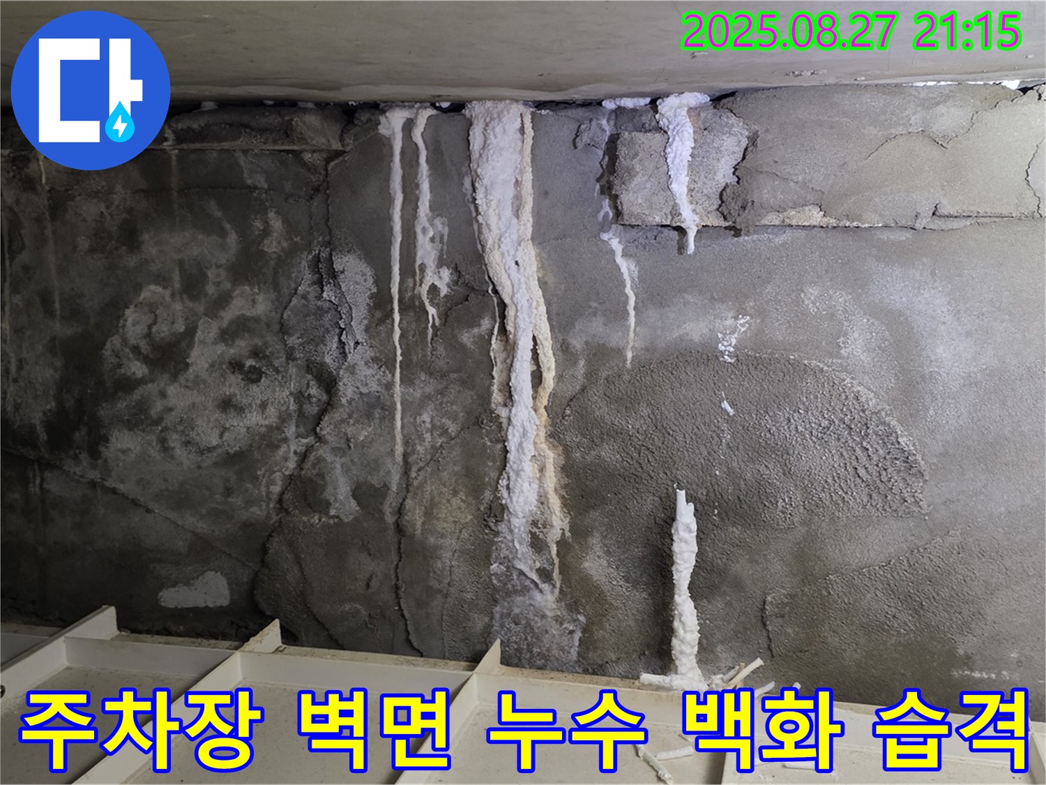 운중동 산운마을 6단지 지하 주차장 벽면 - 누수와 백화현상이 동시에 발생한 긴급 상황을 보여주는 이미지입니다.